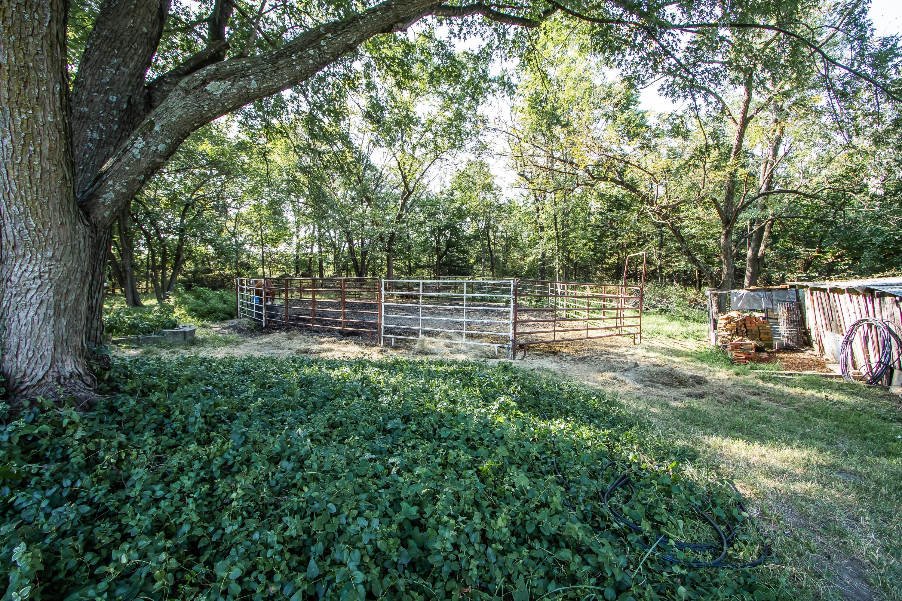 75 Chadwick Road Property Photo 47