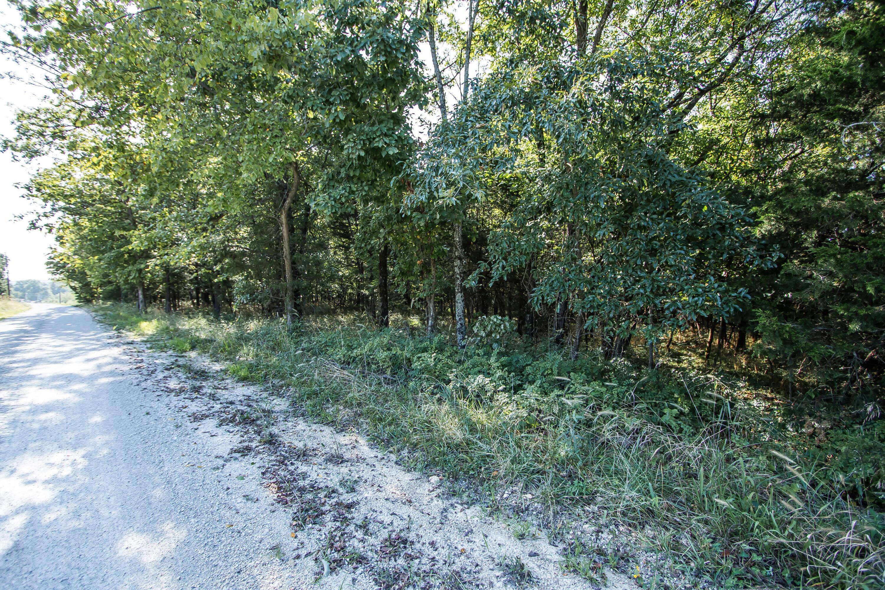 75 Chadwick Road Property Photo 48