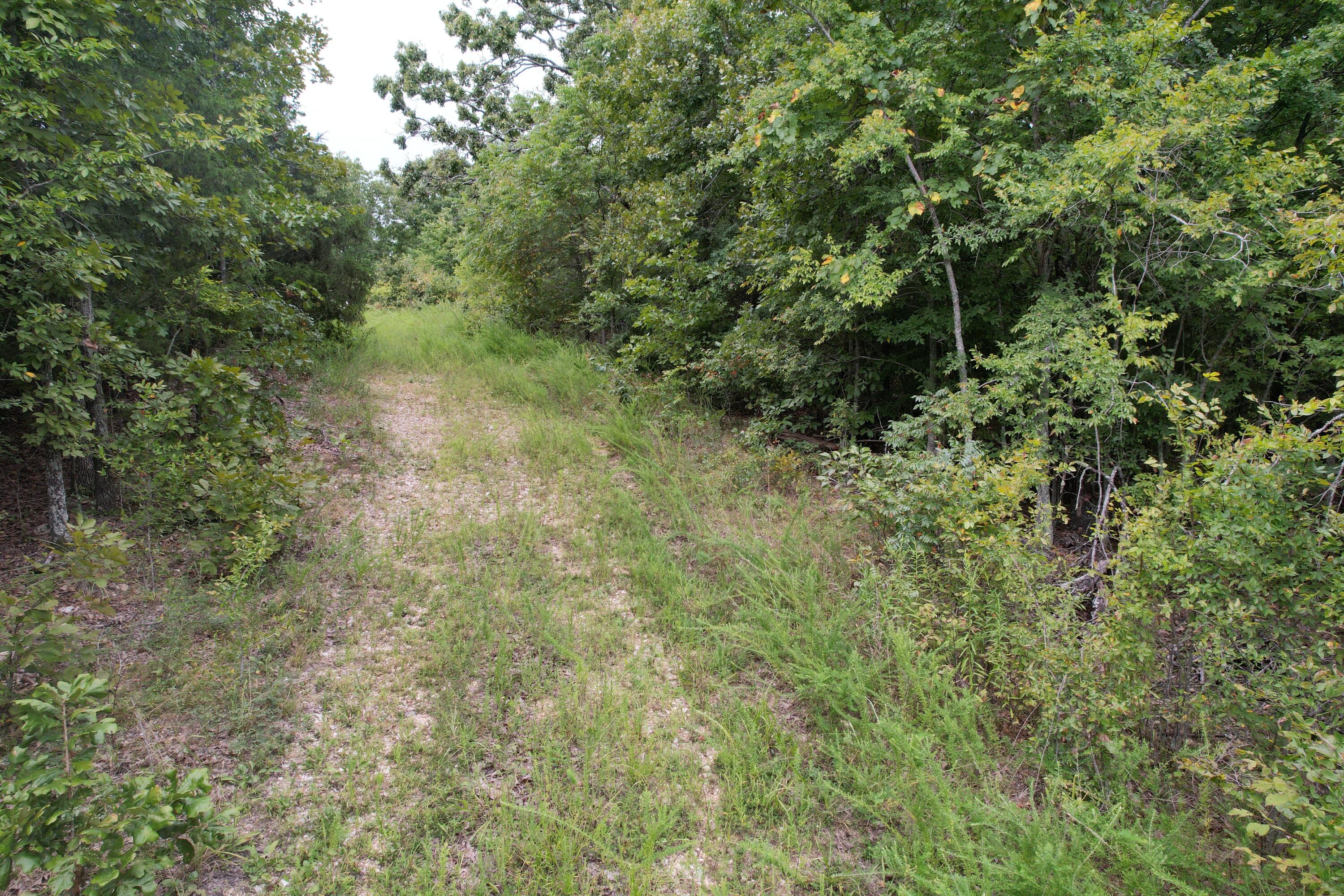 000 County Road 76-126 Property Photo 3