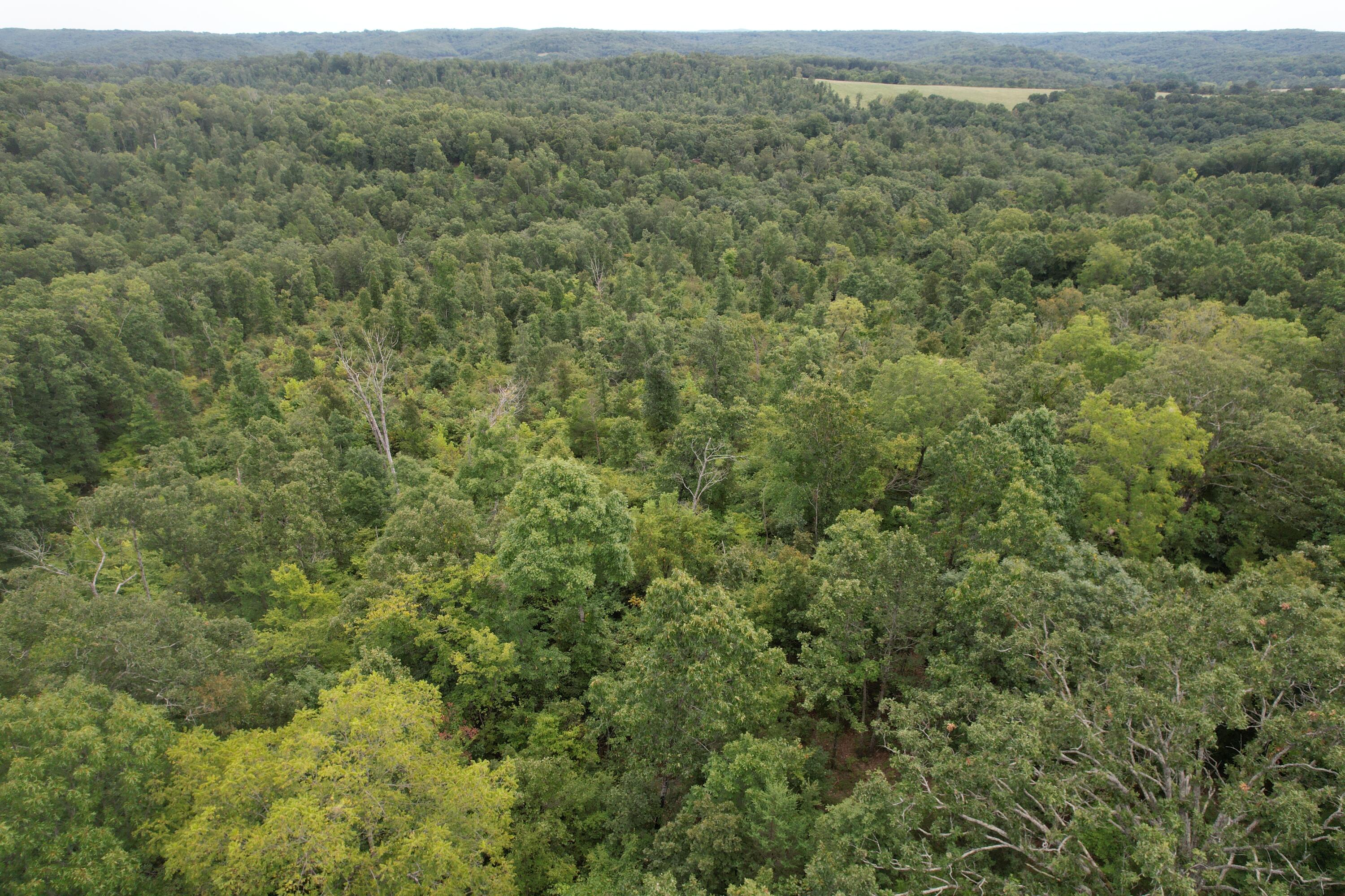 000 County Road 76-126 Property Photo 4