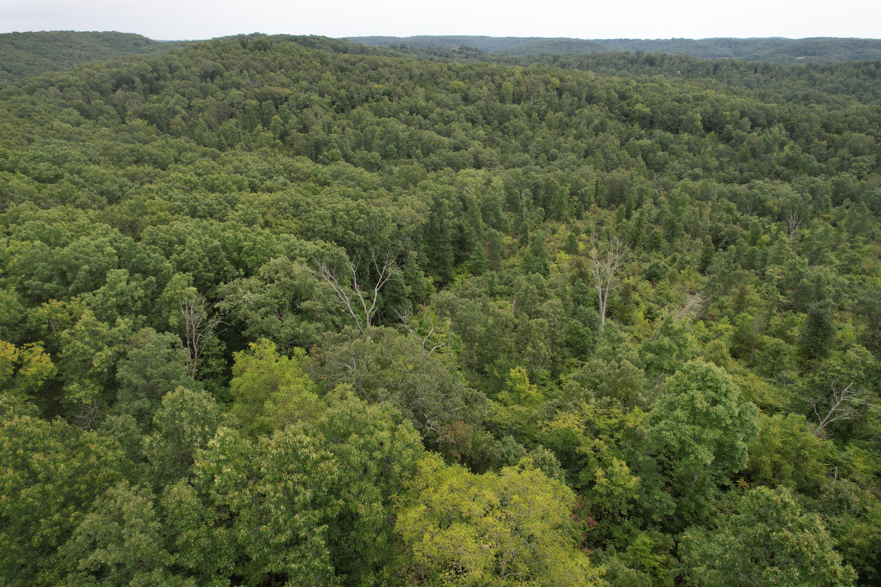 000 County Road 76-126 Property Photo 6
