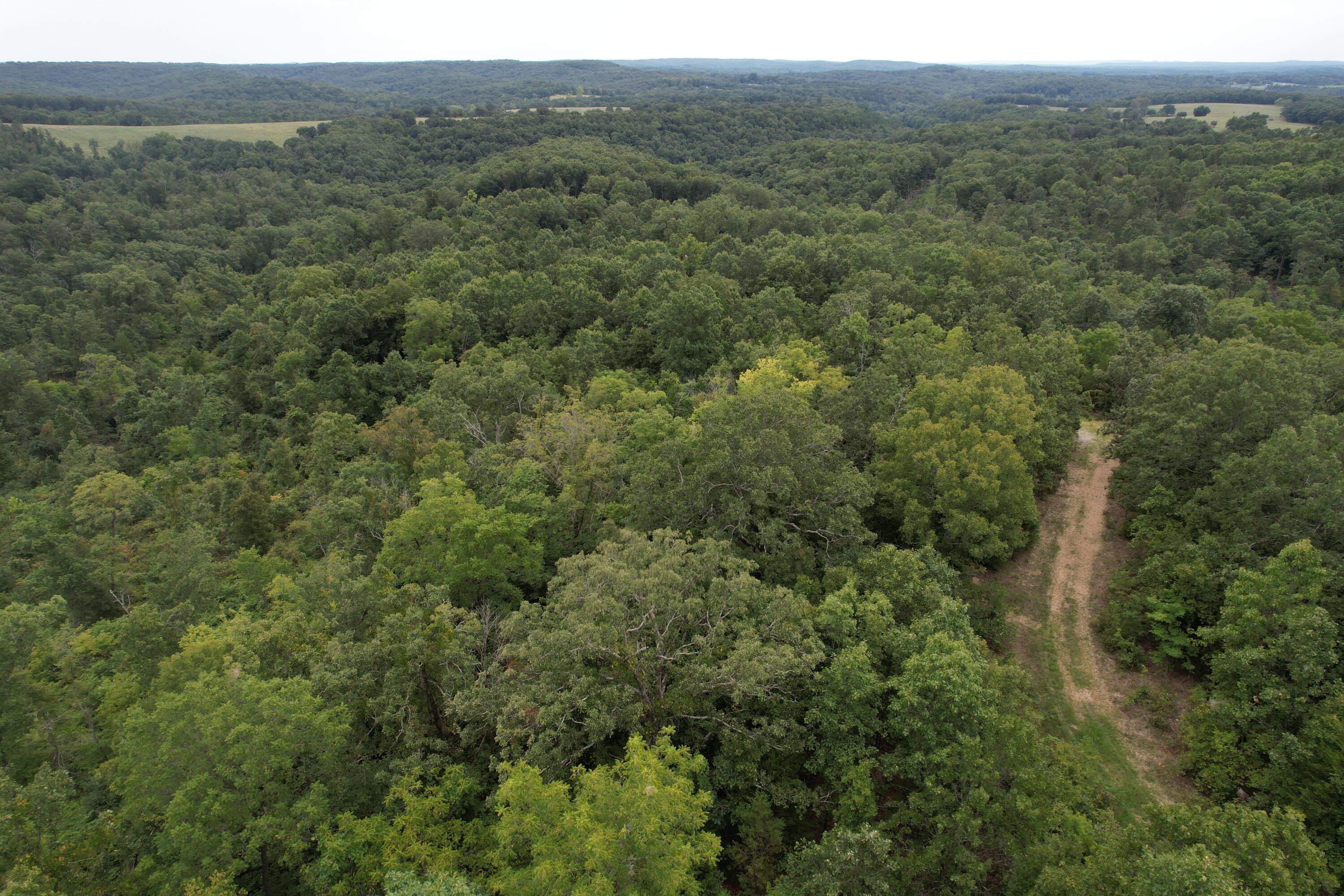 000 County Road 76-126 Property Photo 7