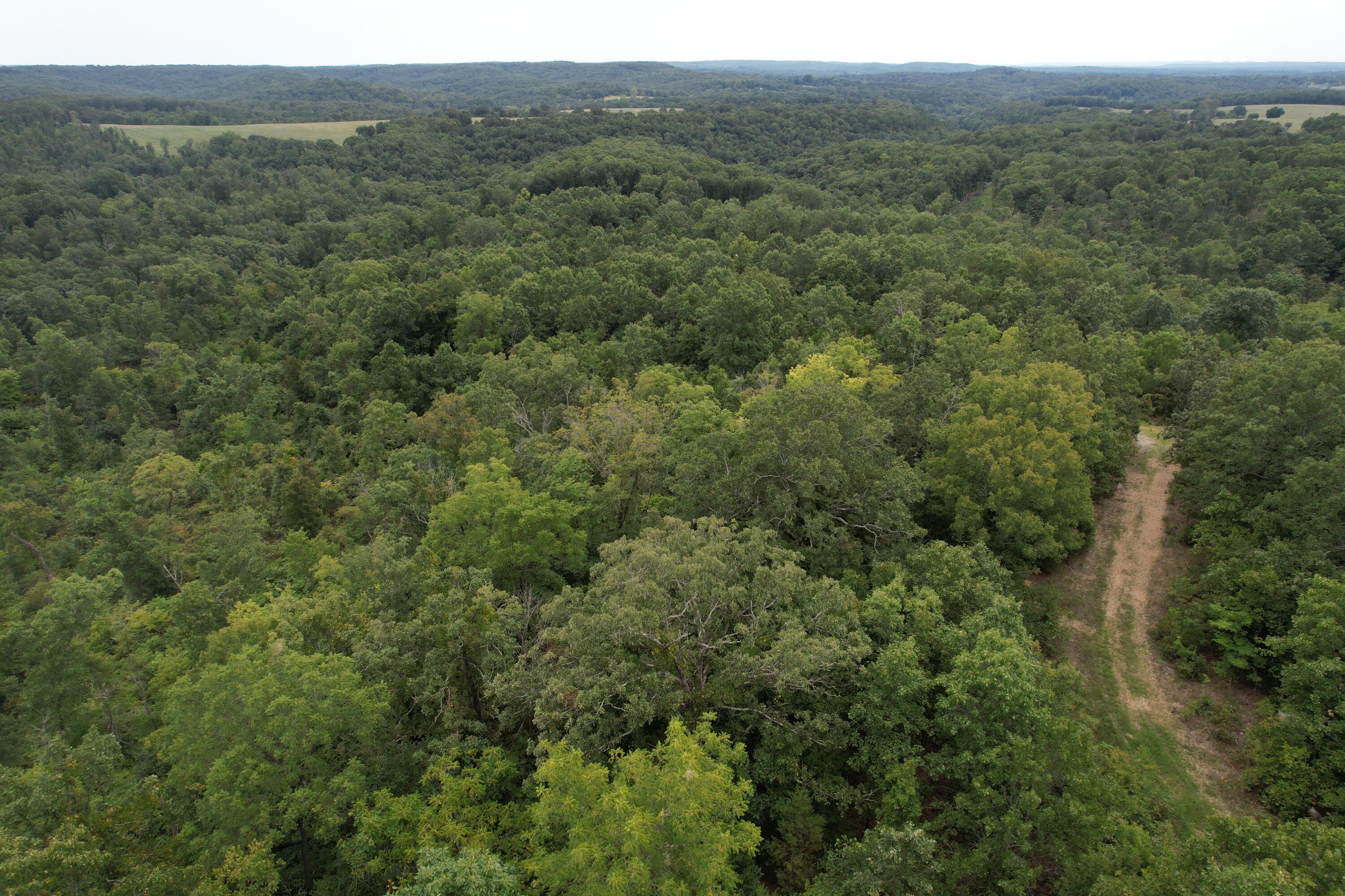 000 County Road 76-126 Property Photo 8