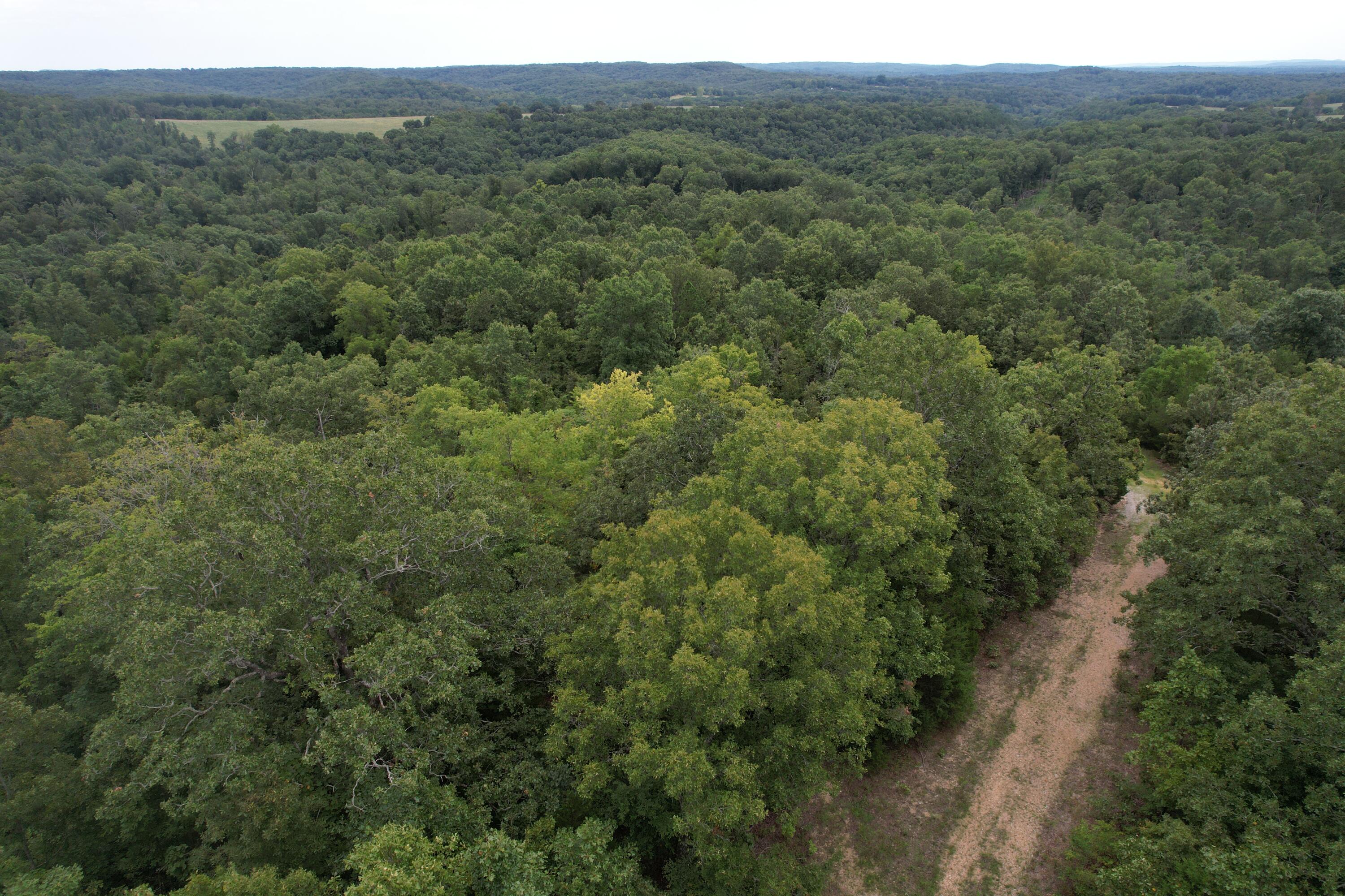 000 County Road 76-126 Property Photo 9