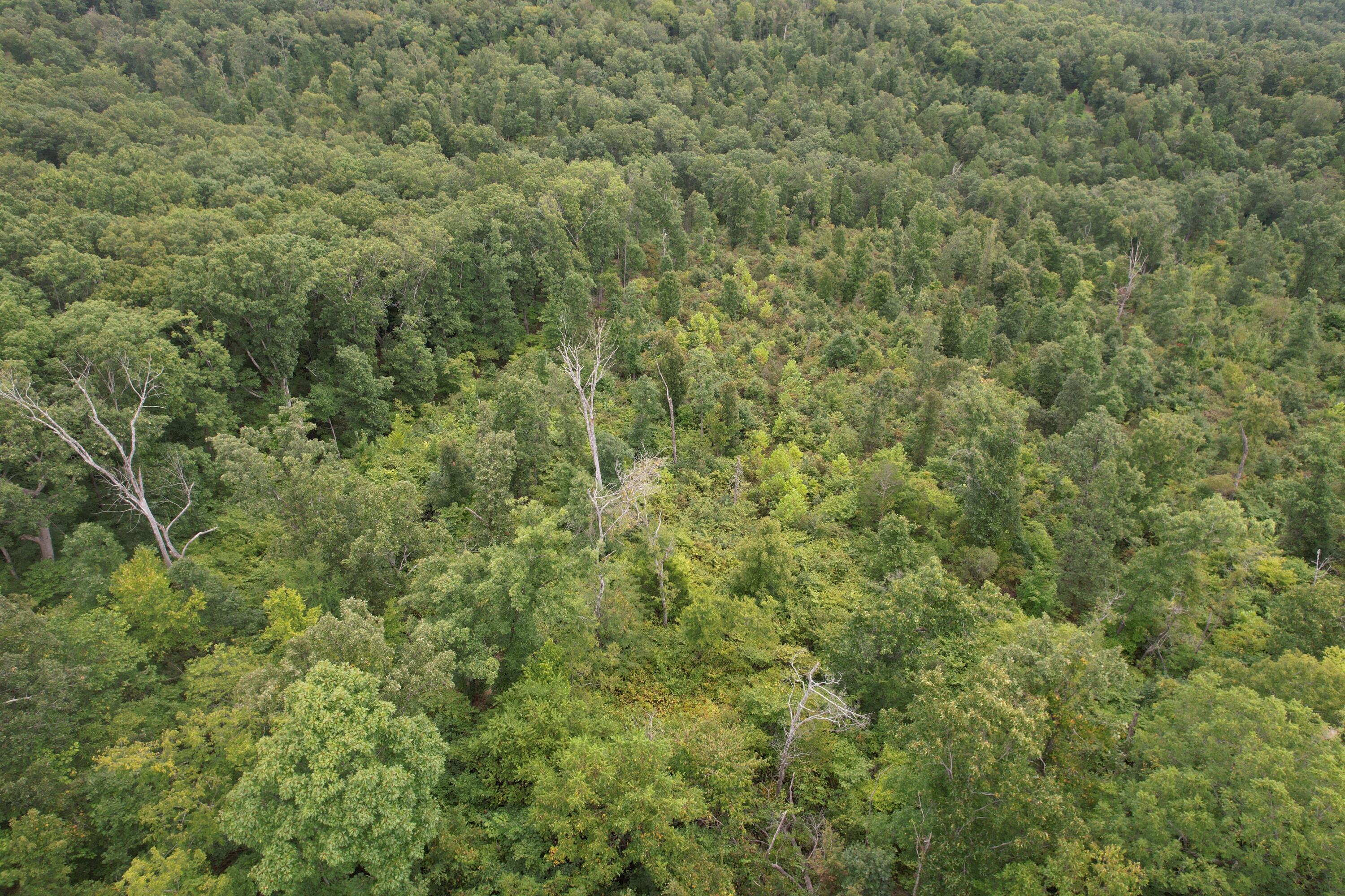 000 County Road 76-126 Property Photo 10