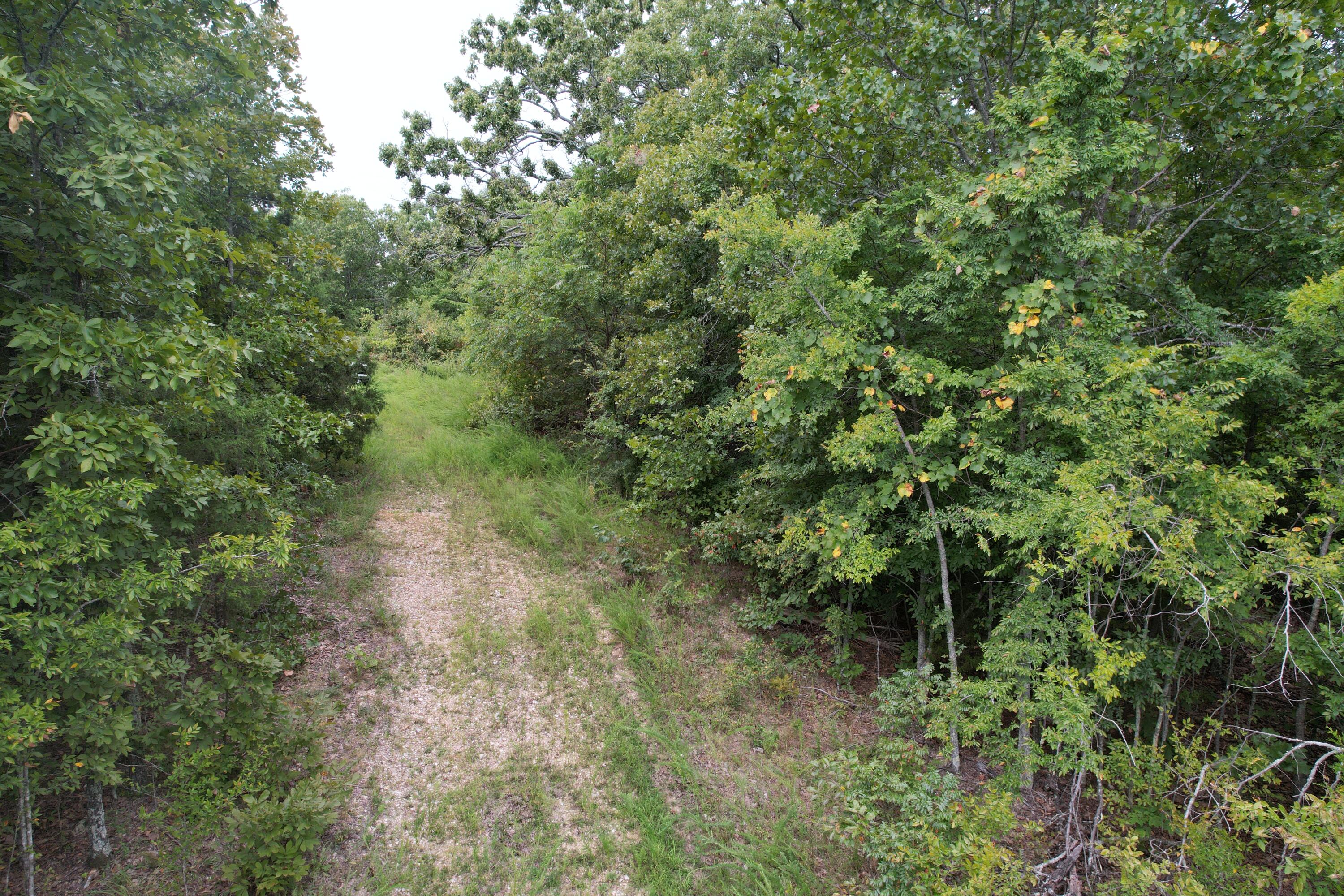 000 County Road 76-126 Property Photo 13