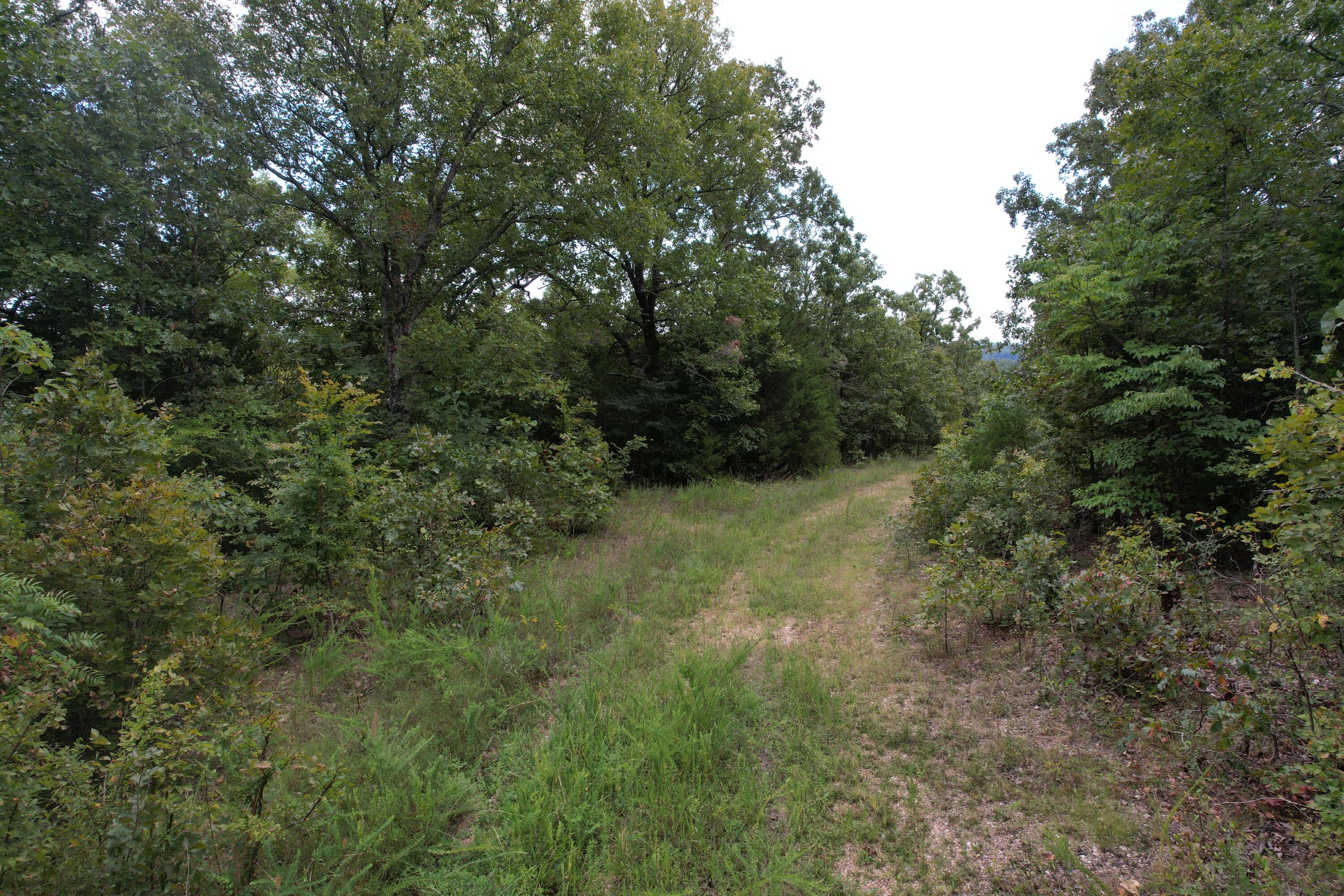 000 County Road 76-126 Property Photo 14