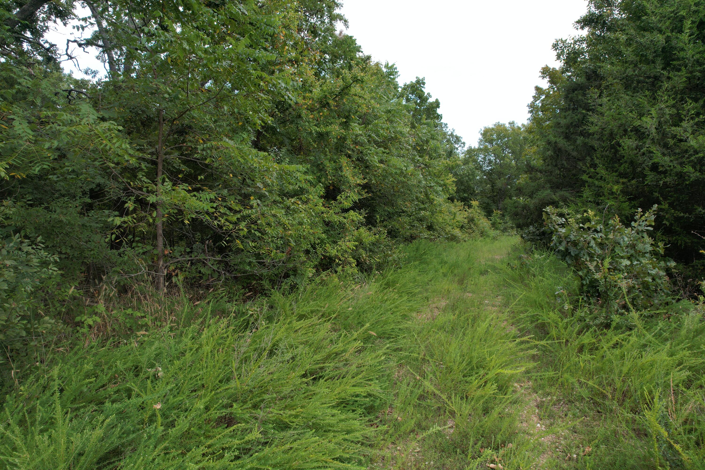 000 County Road 76-126 Property Photo 15