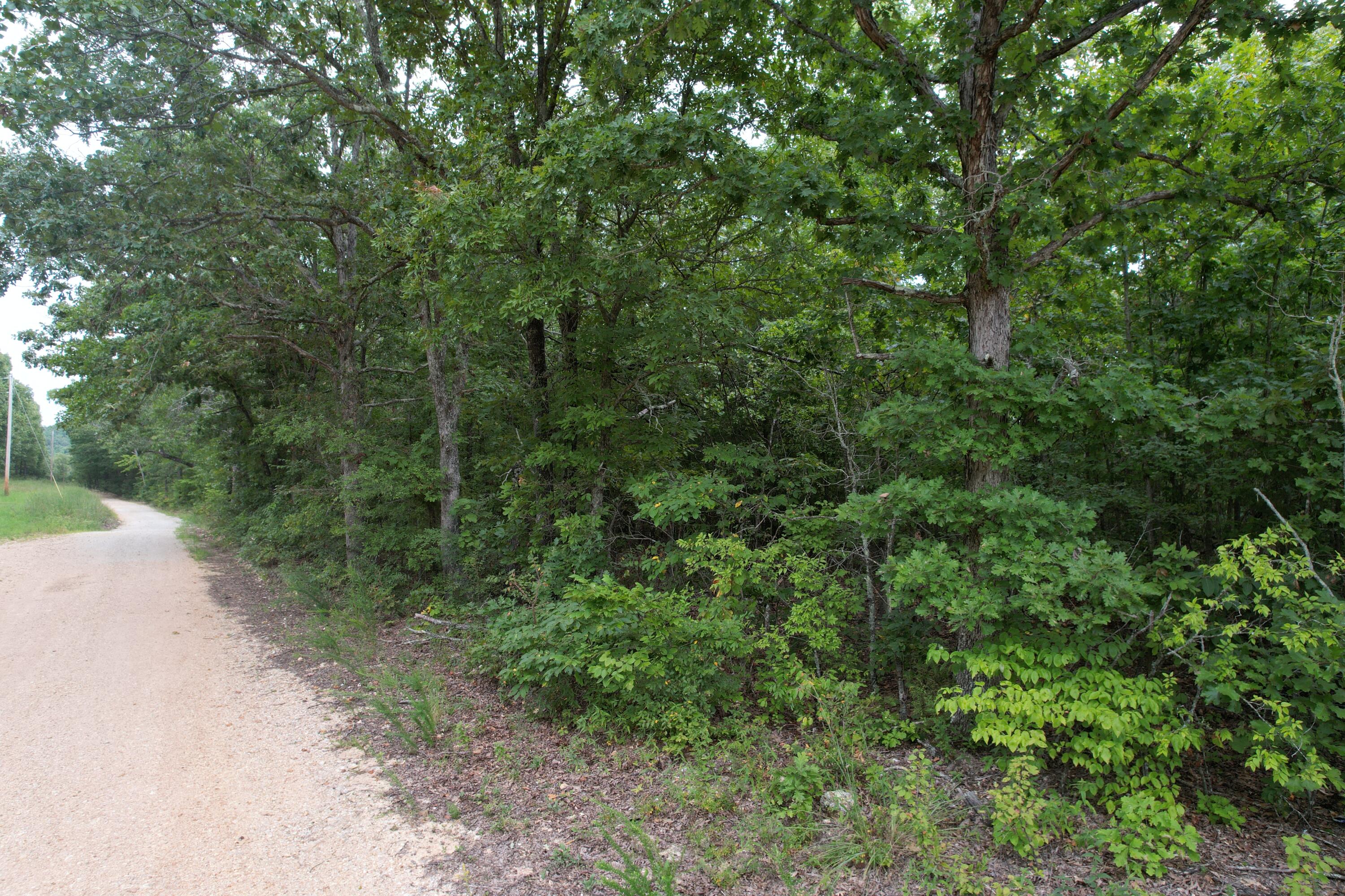 000 County Road 76-126 Property Photo 16