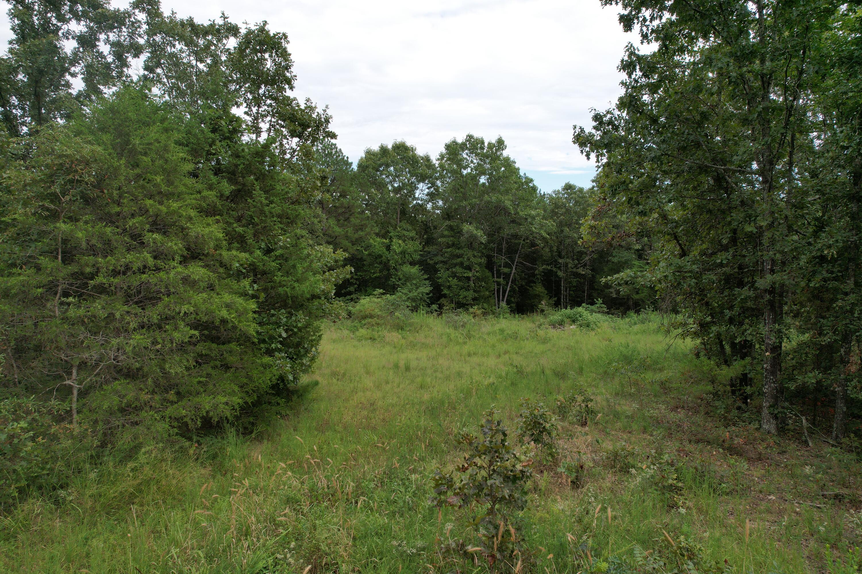 000 County Road 76-126 Property Photo 17
