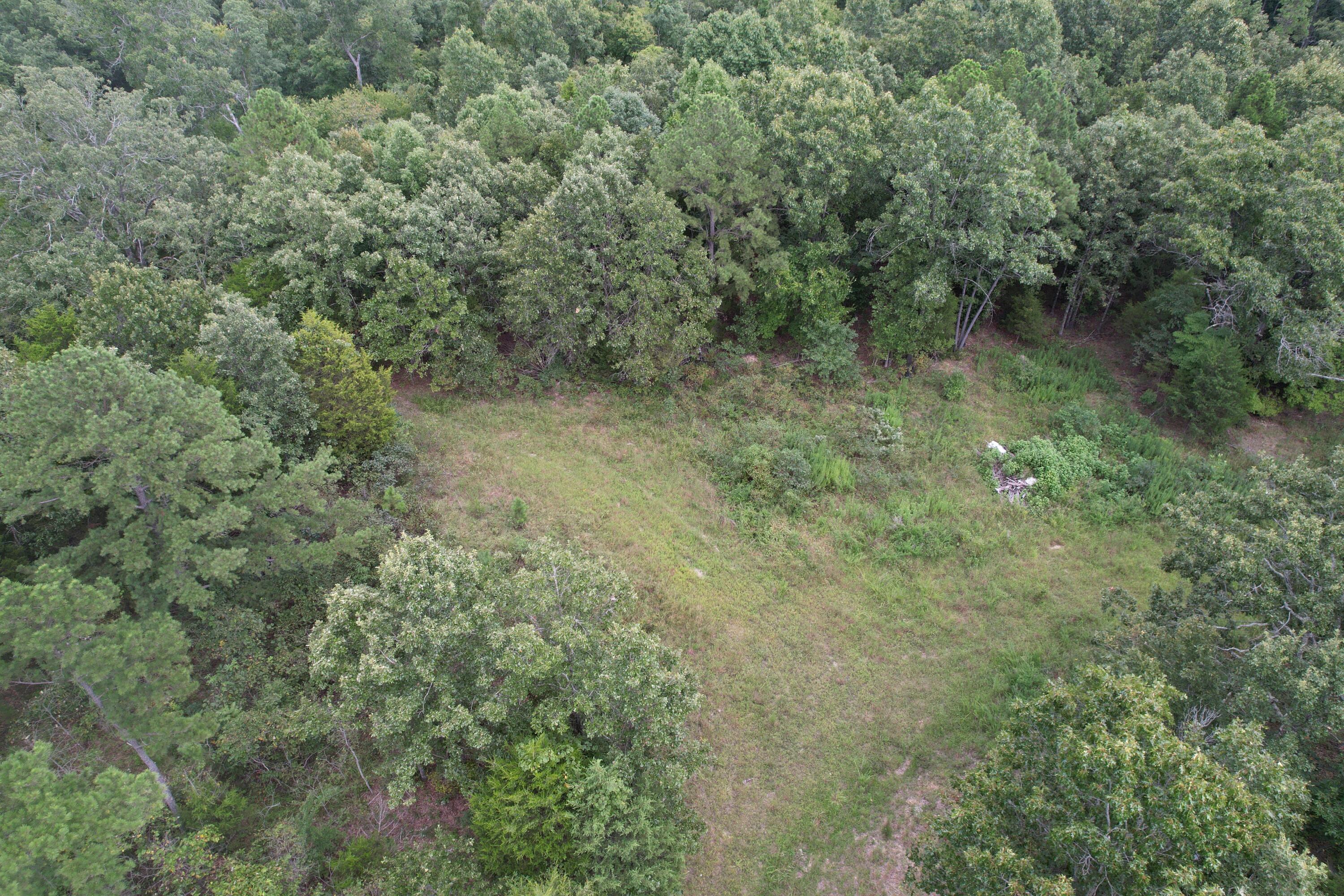 000 County Road 76-126 Property Photo 18
