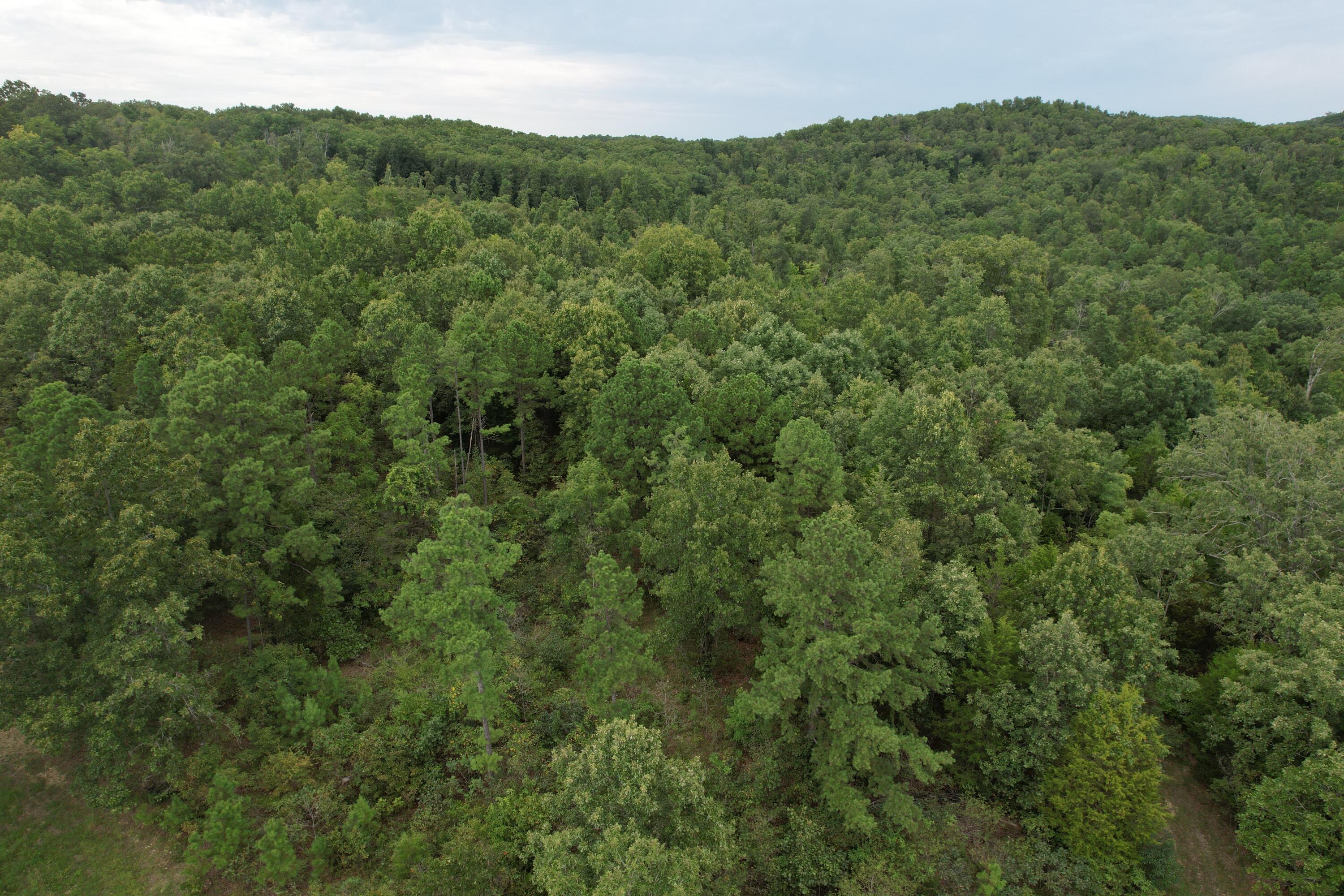 000 County Road 76-126 Property Photo 19