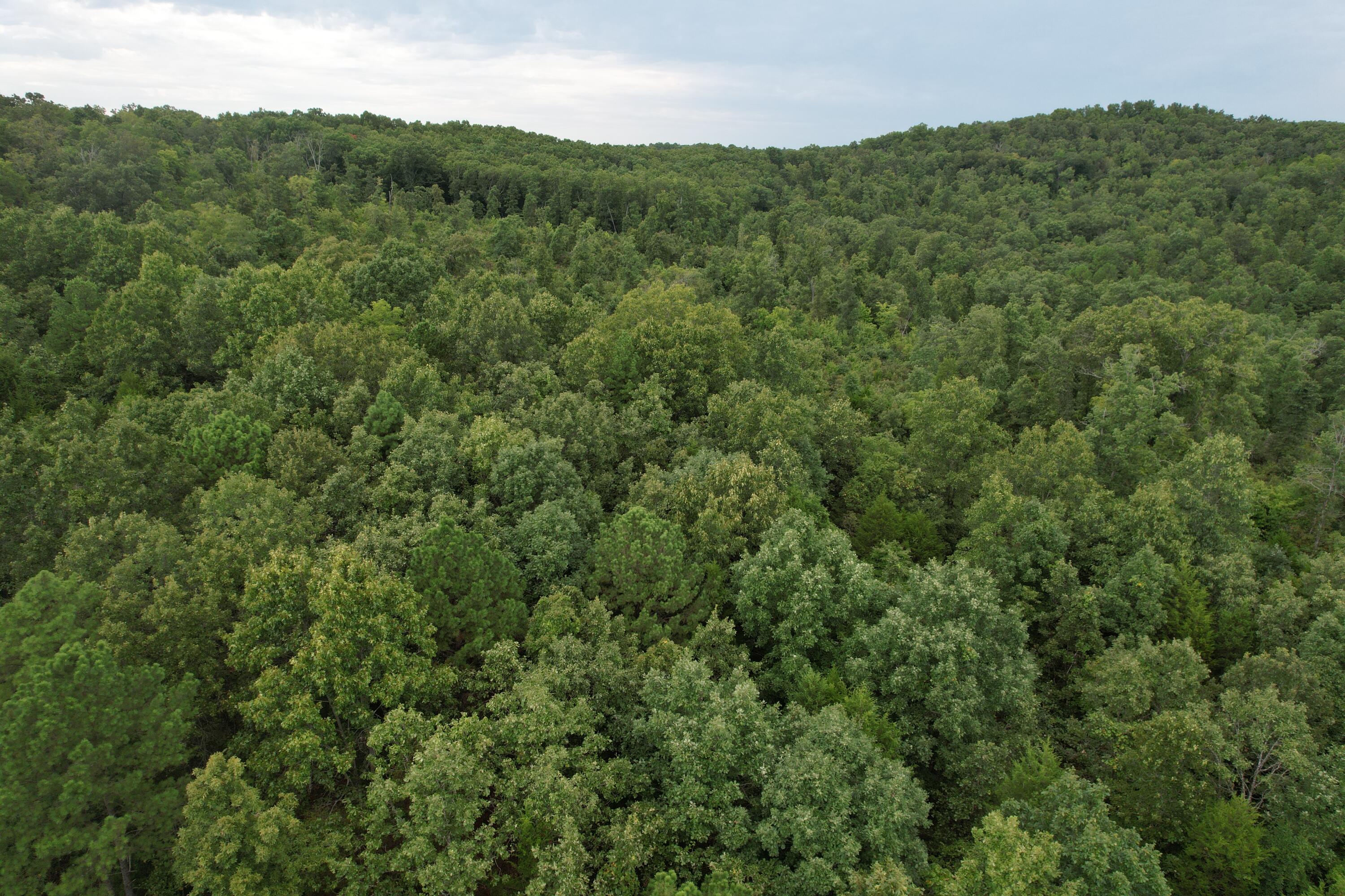 000 County Road 76-126 Property Photo 20