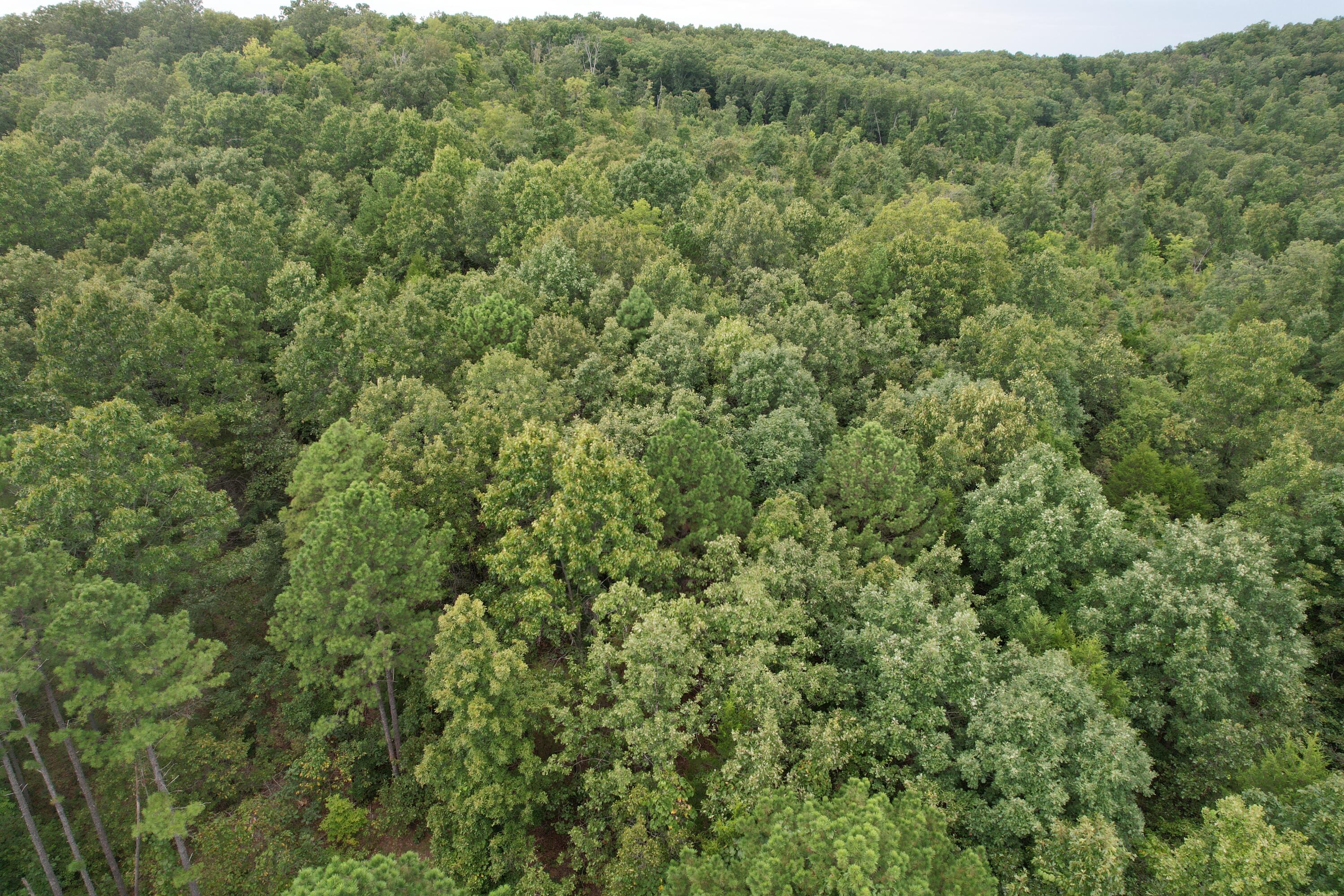 000 County Road 76-126 Property Photo 21