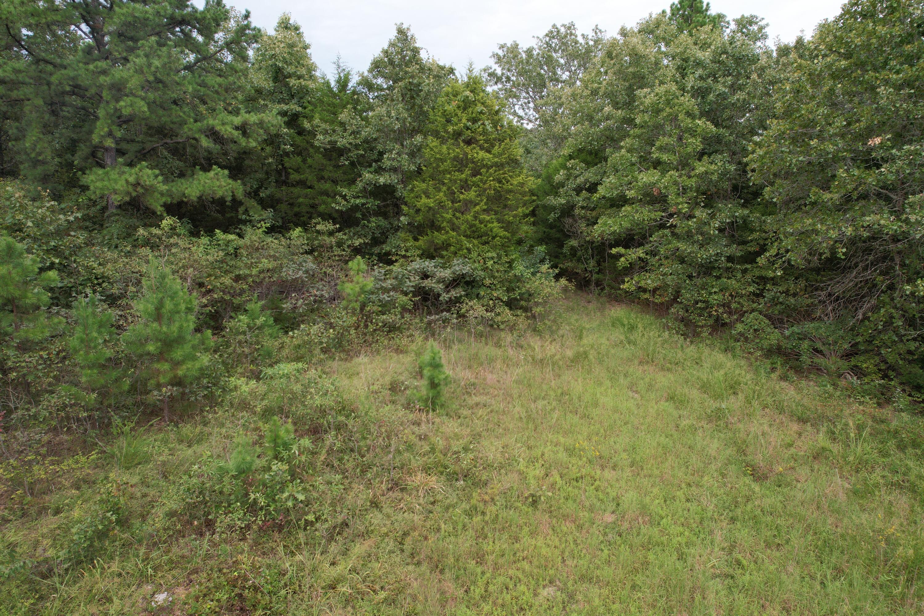 000 County Road 76-126 Property Photo 22