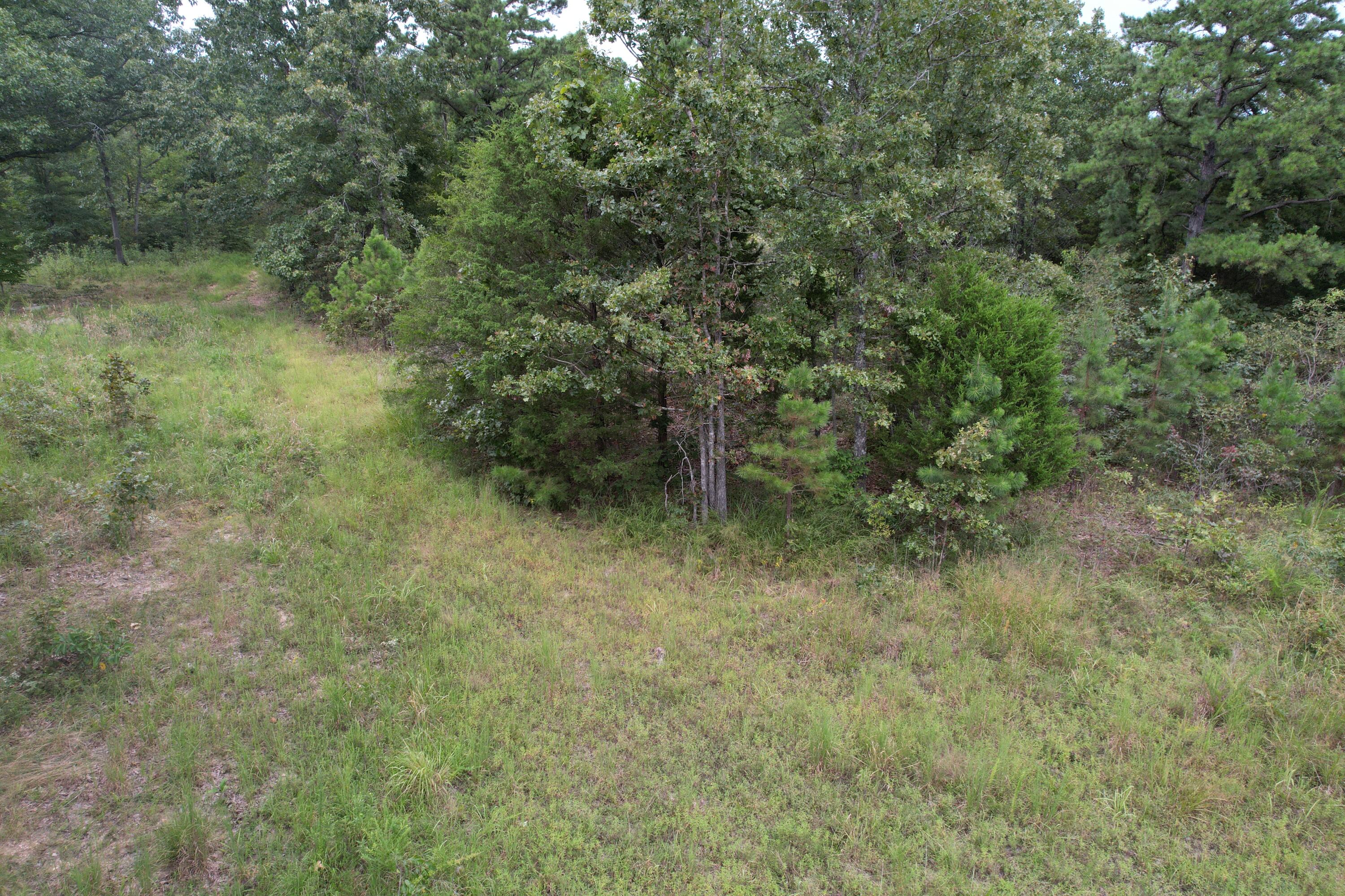 000 County Road 76-126 Property Photo 23