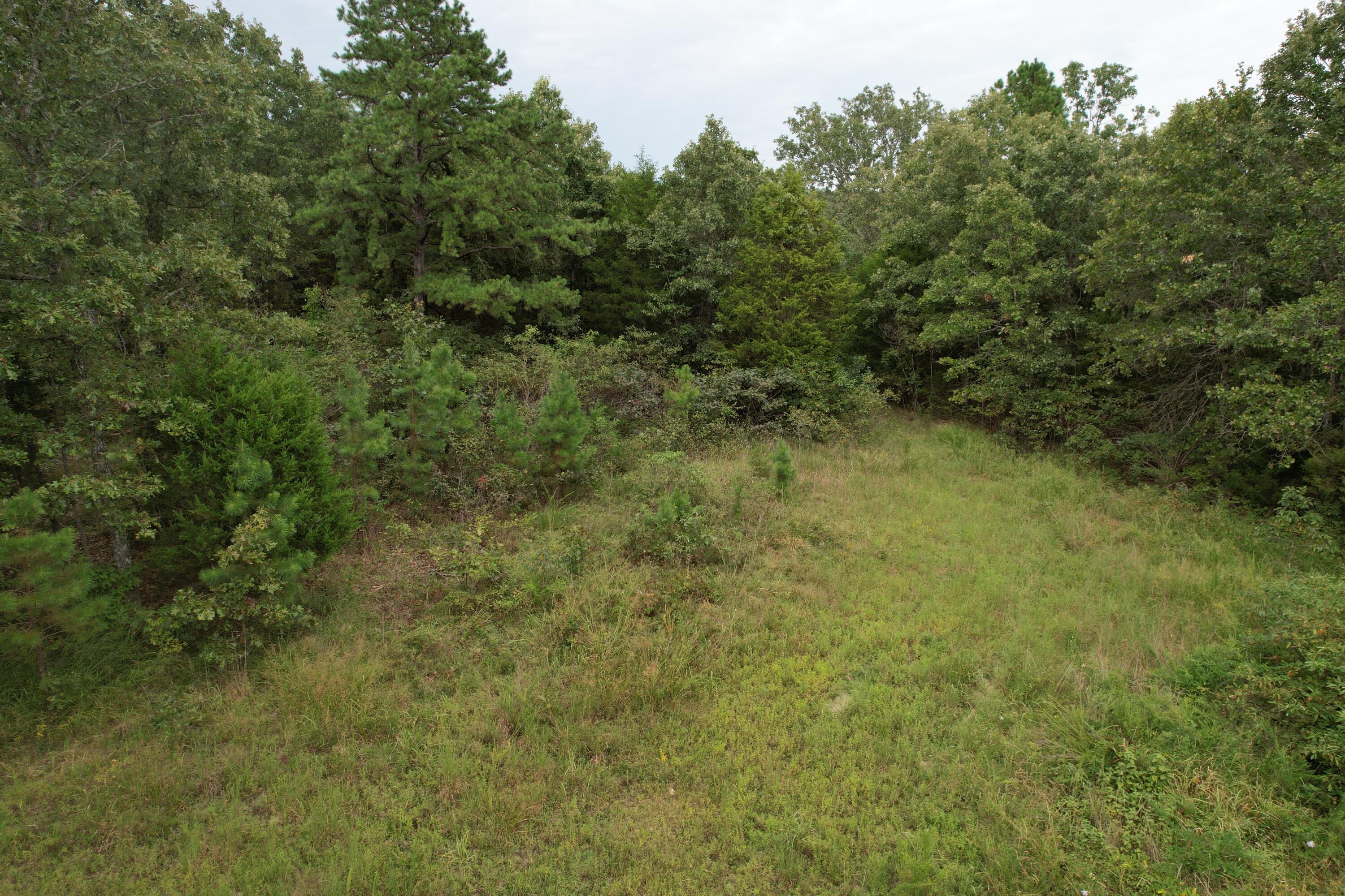 000 County Road 76-126 Property Photo 24