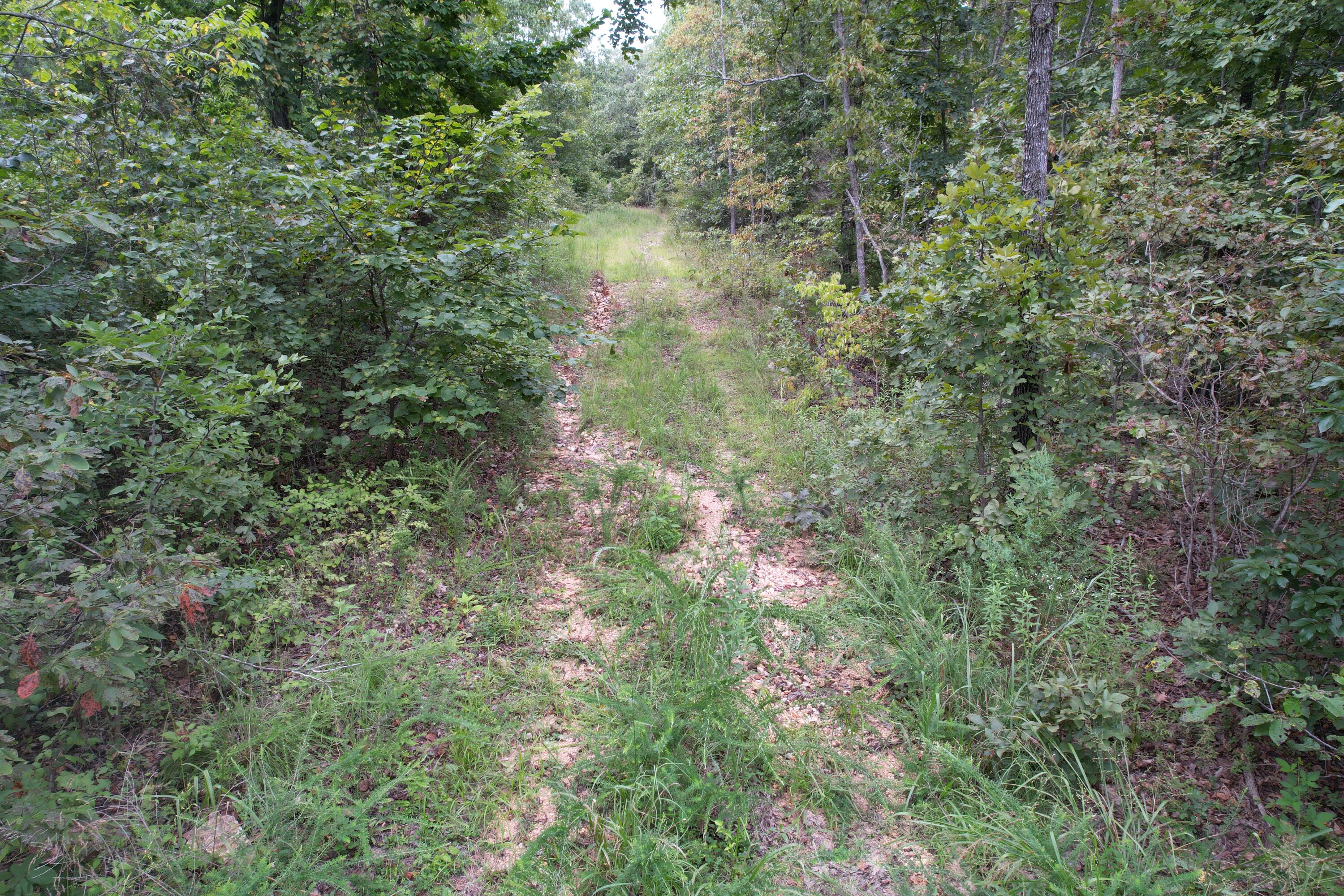 000 County Road 76-126 Property Photo 25