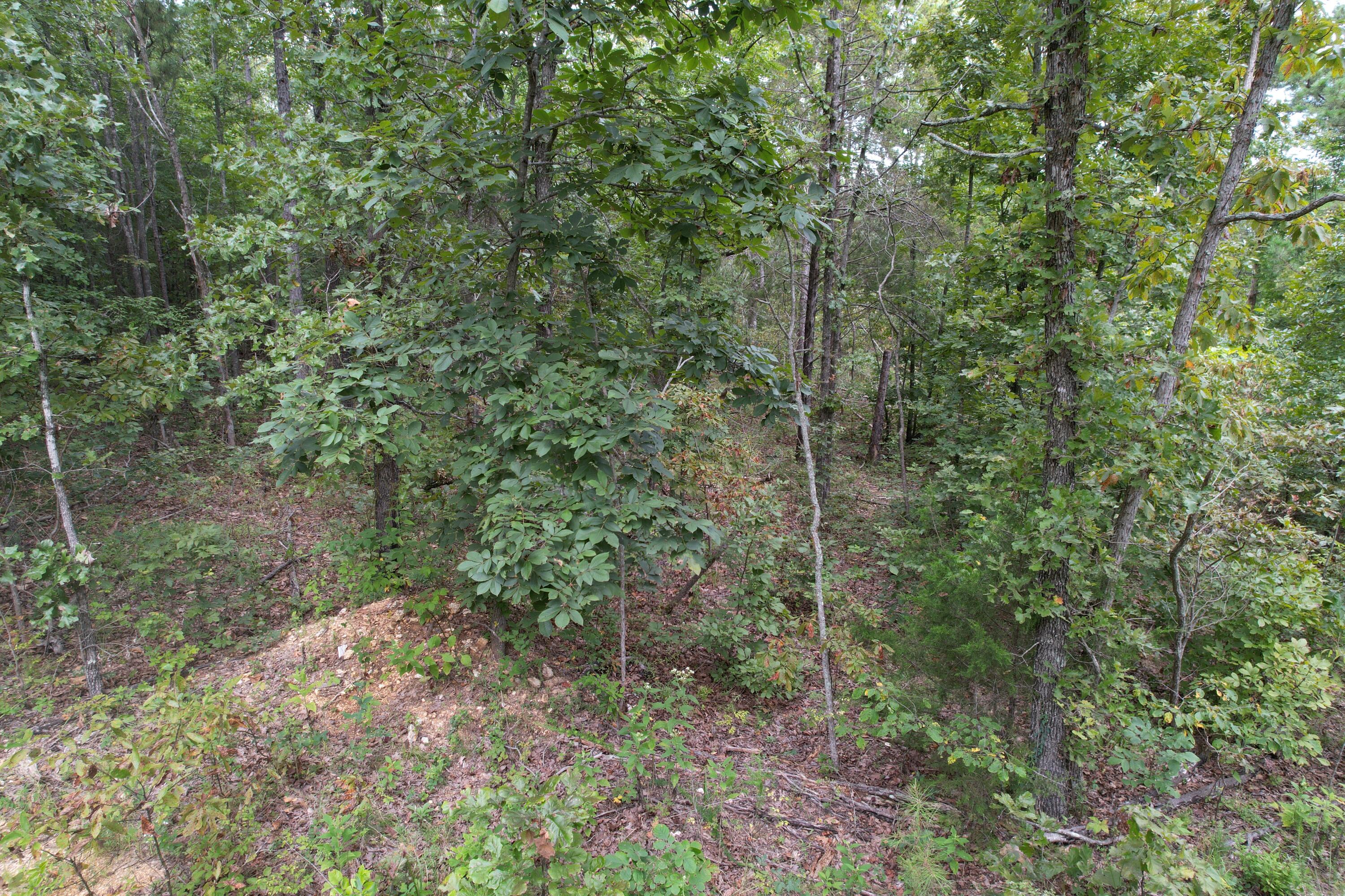 000 County Road 76-126 Property Photo 26