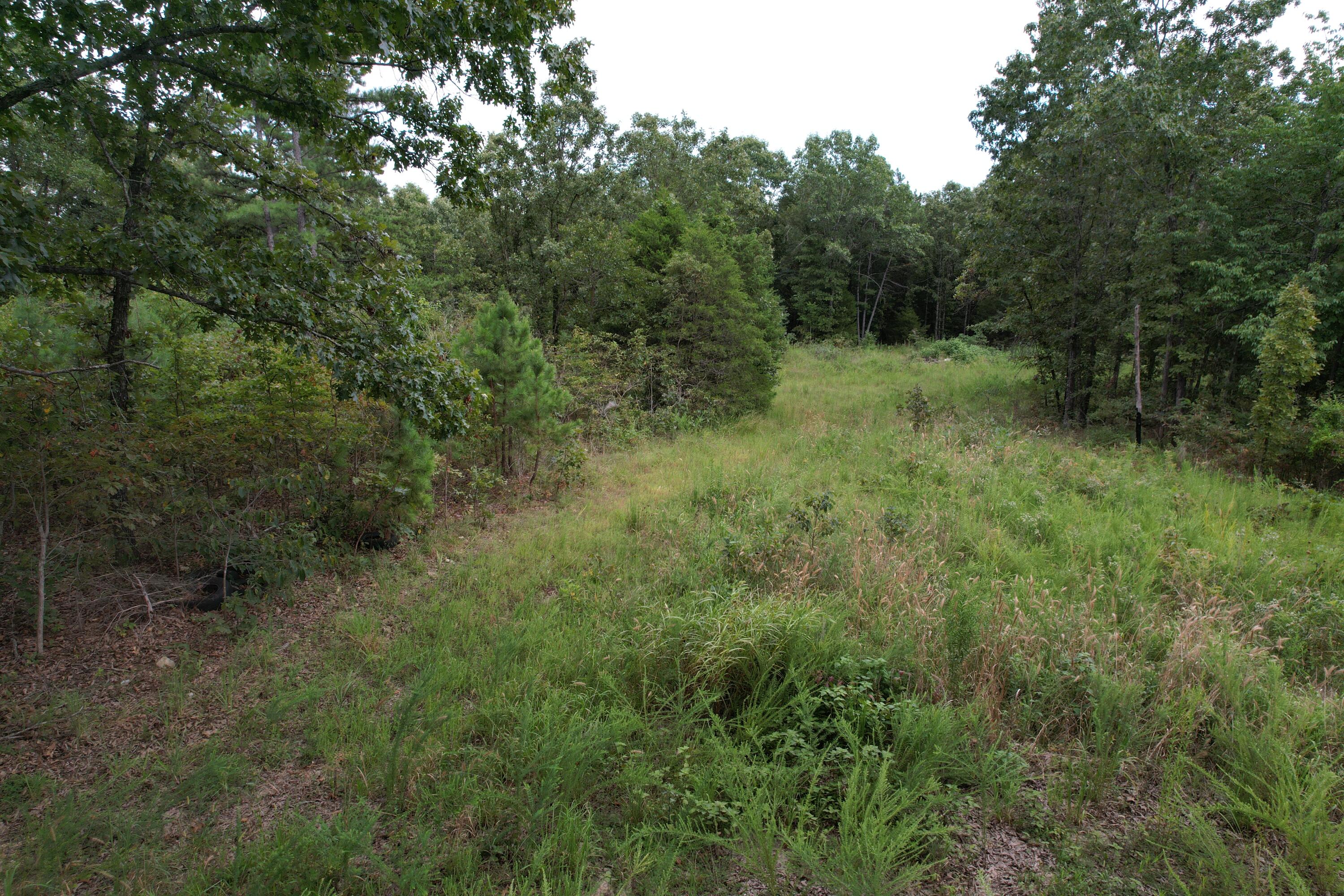 000 County Road 76-126 Property Photo 27
