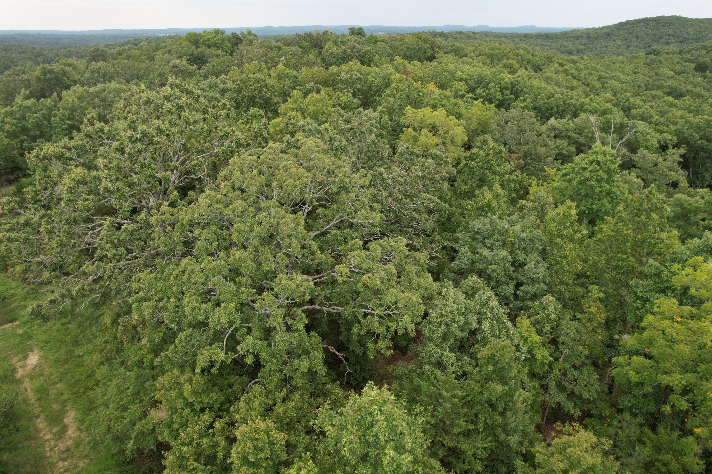 000 County Road 76-126 Property Photo 28