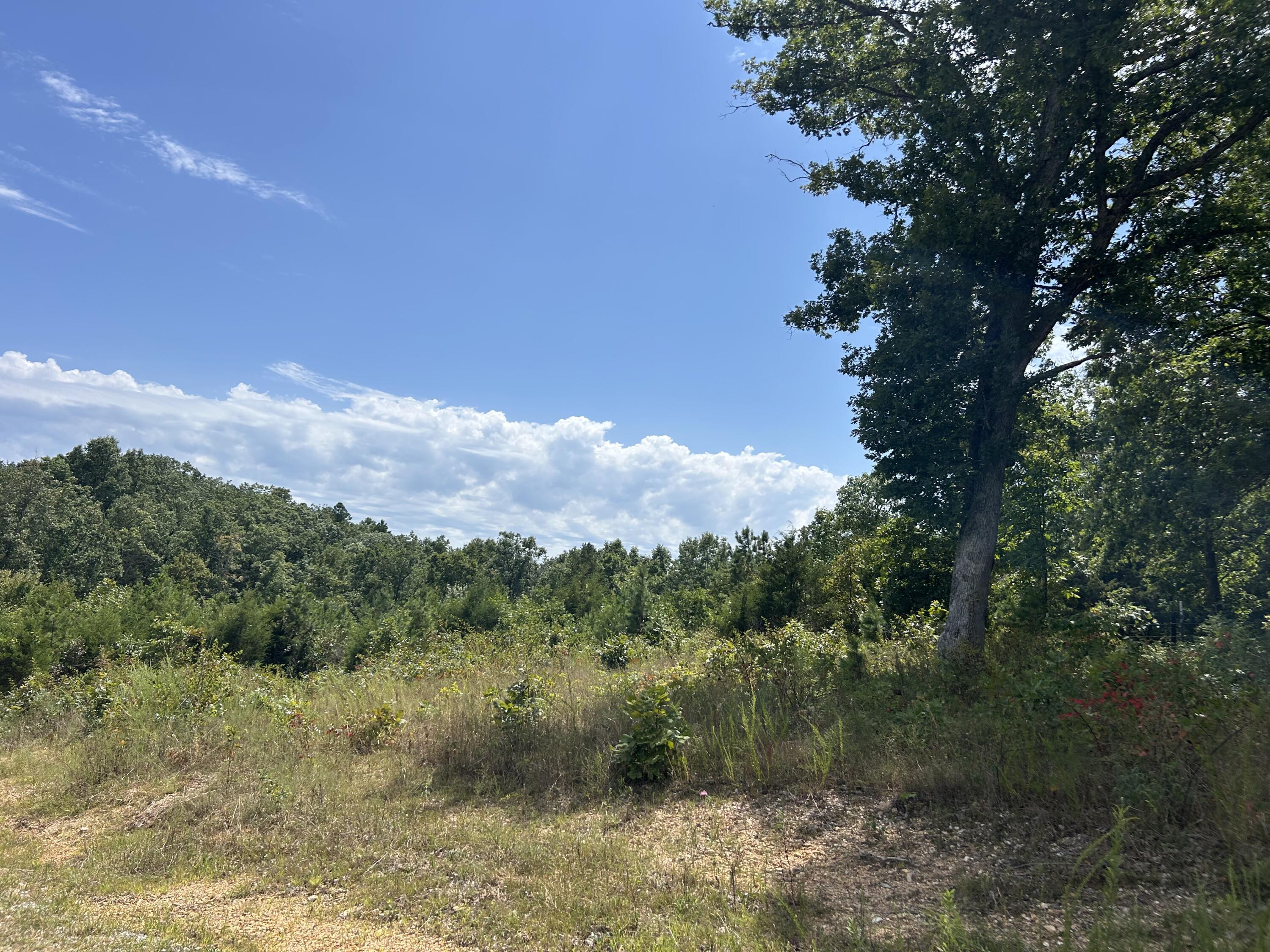 10720 Sackett Road Property Photo 8