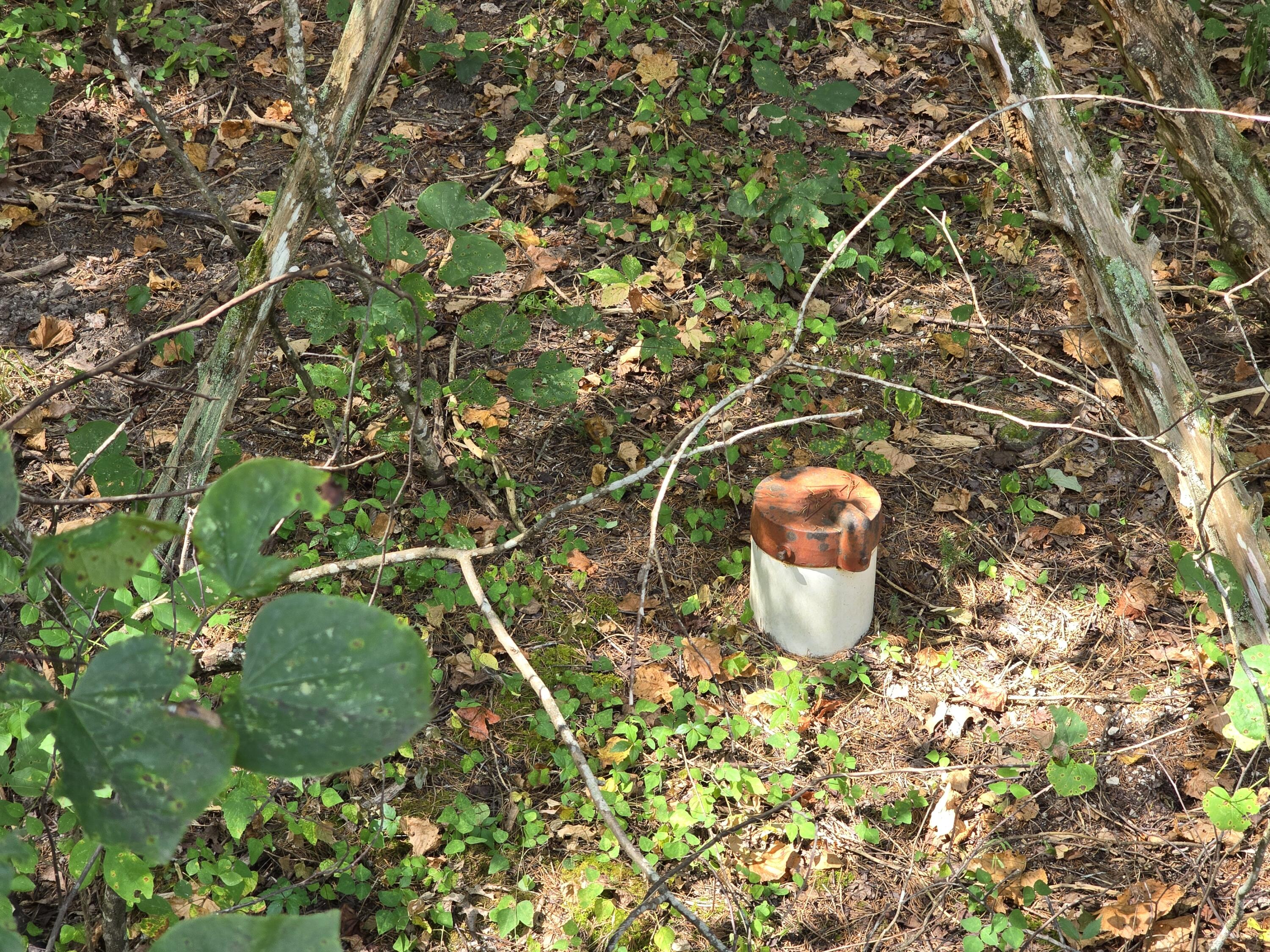 000 Tabasco Trail Property Photo 5