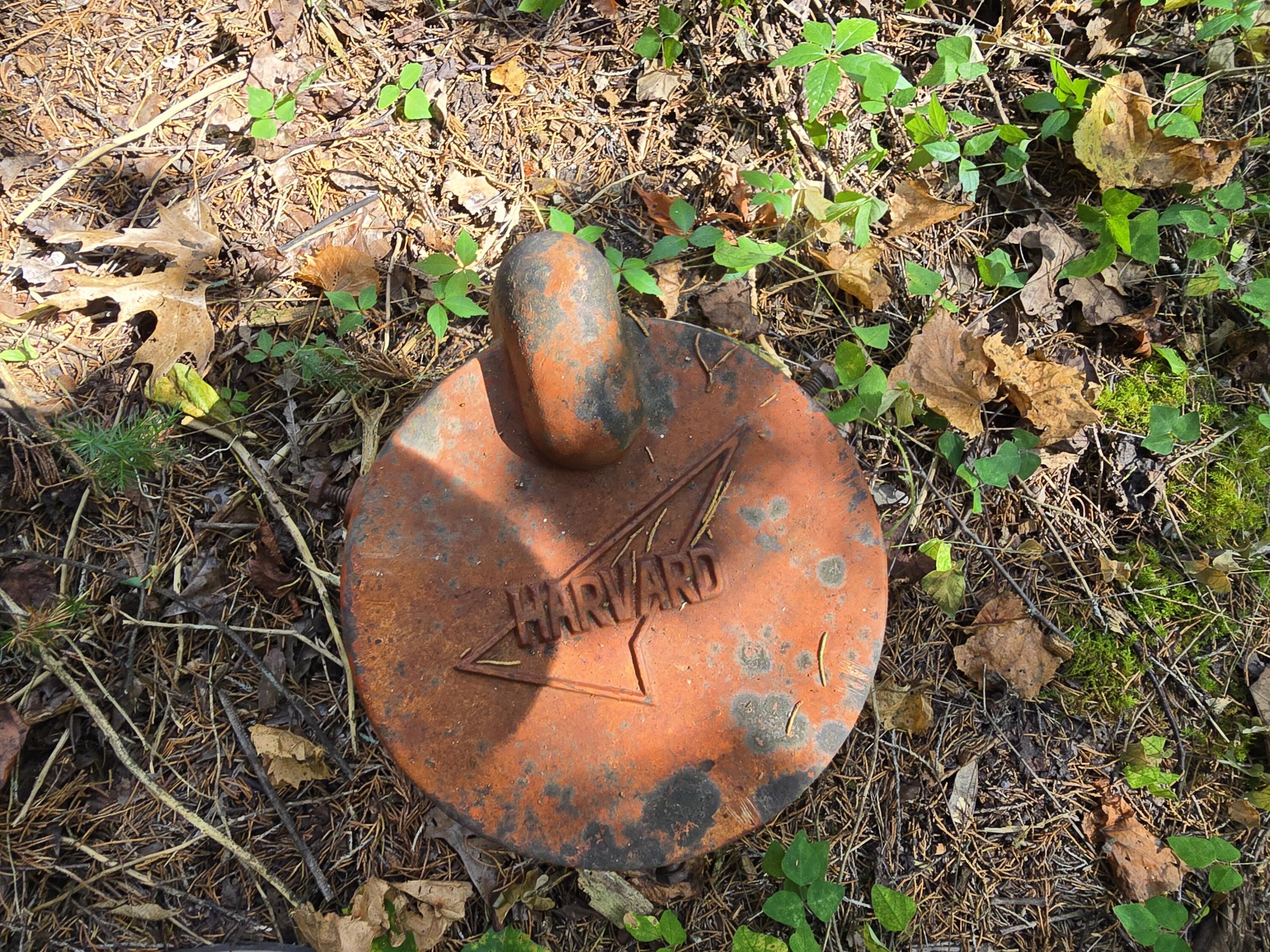 000 Tabasco Trail Property Photo 6