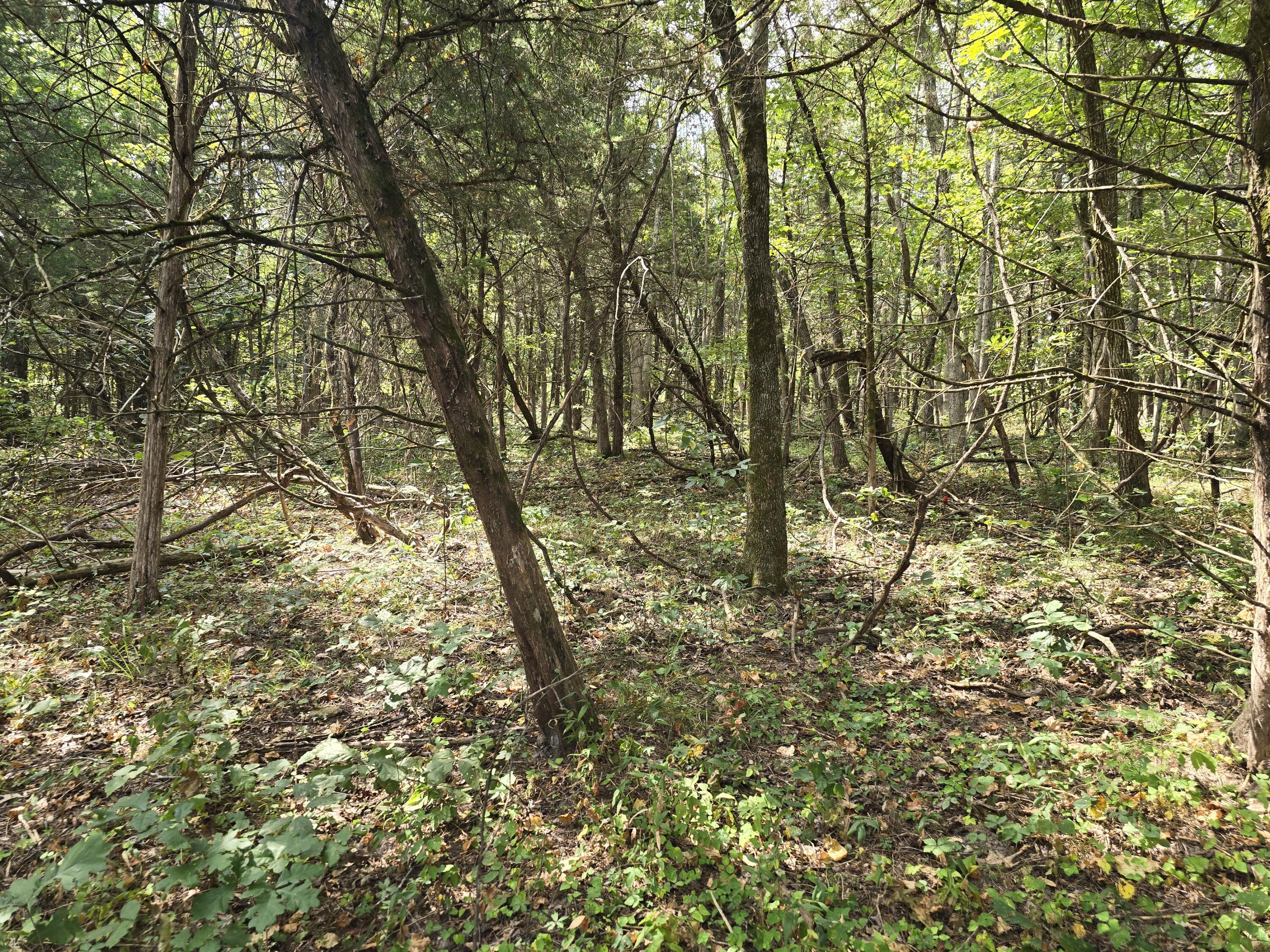 000 Tabasco Trail Property Photo 7