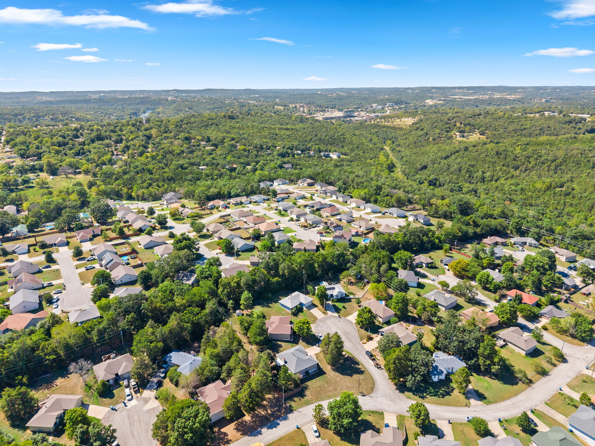 115 Rock Spring Court Property Photo 40