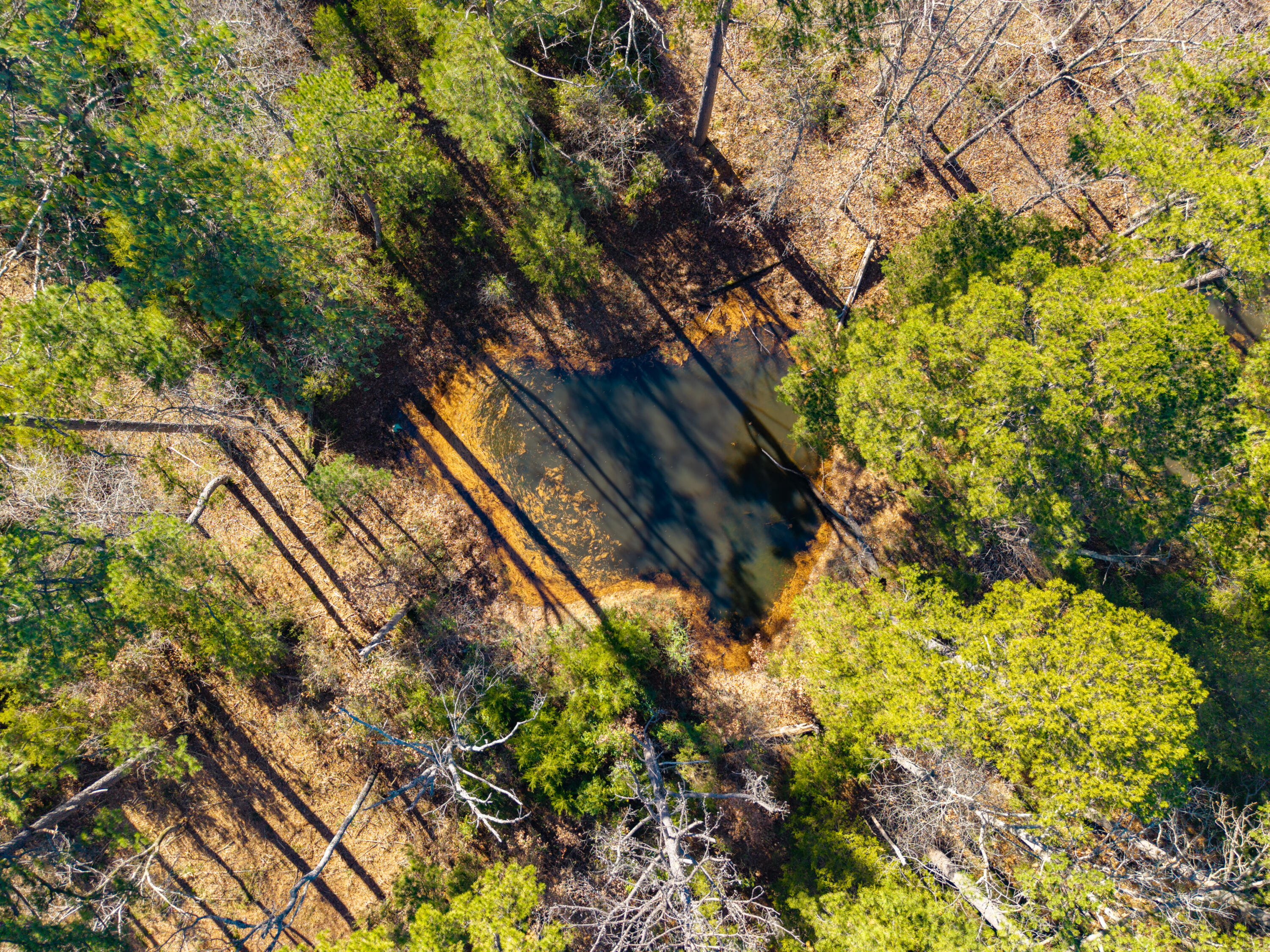 Lot 3 Malberg Road Property Photo 18