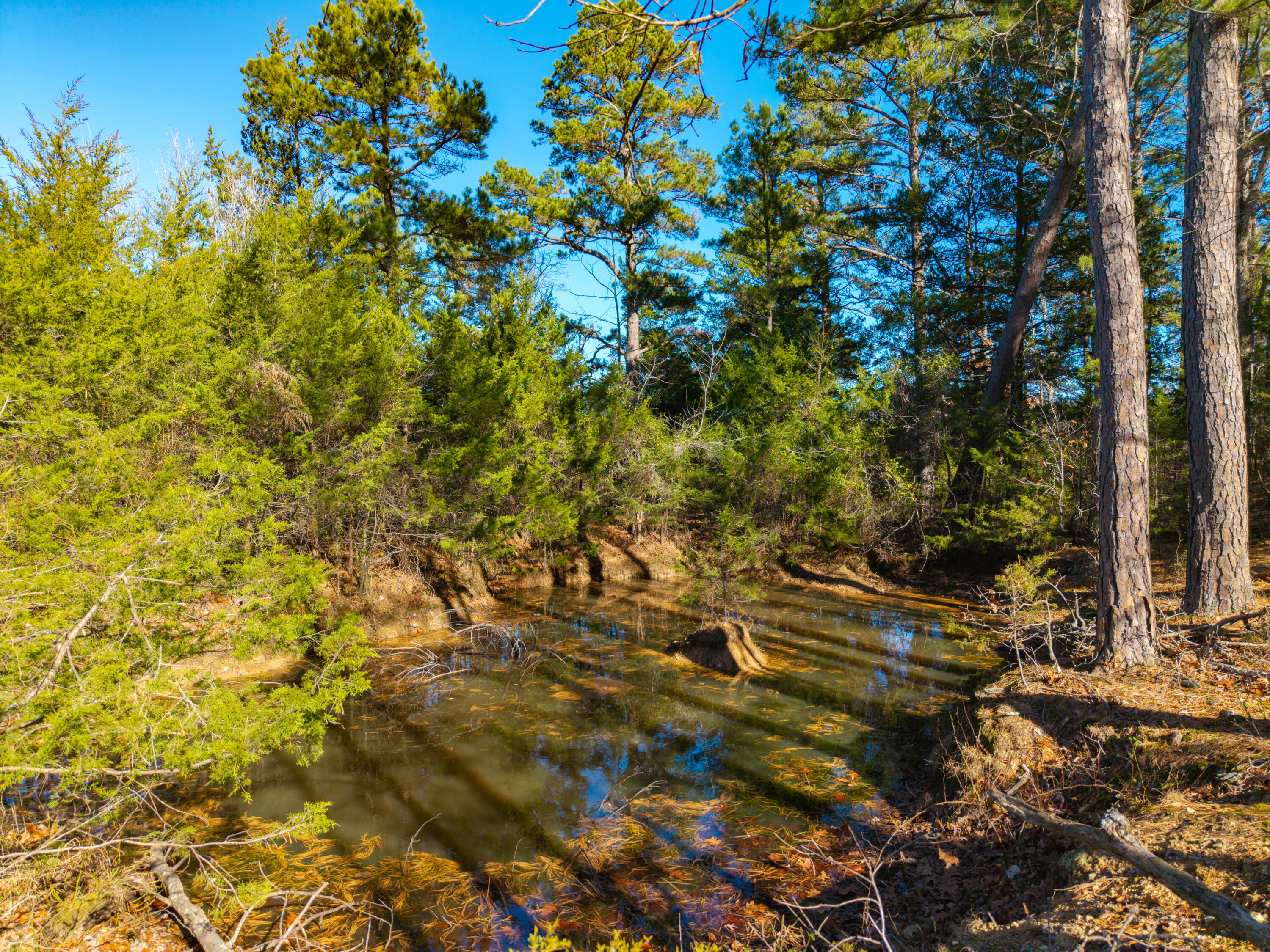 Lot 3 Malberg Road Property Photo 19