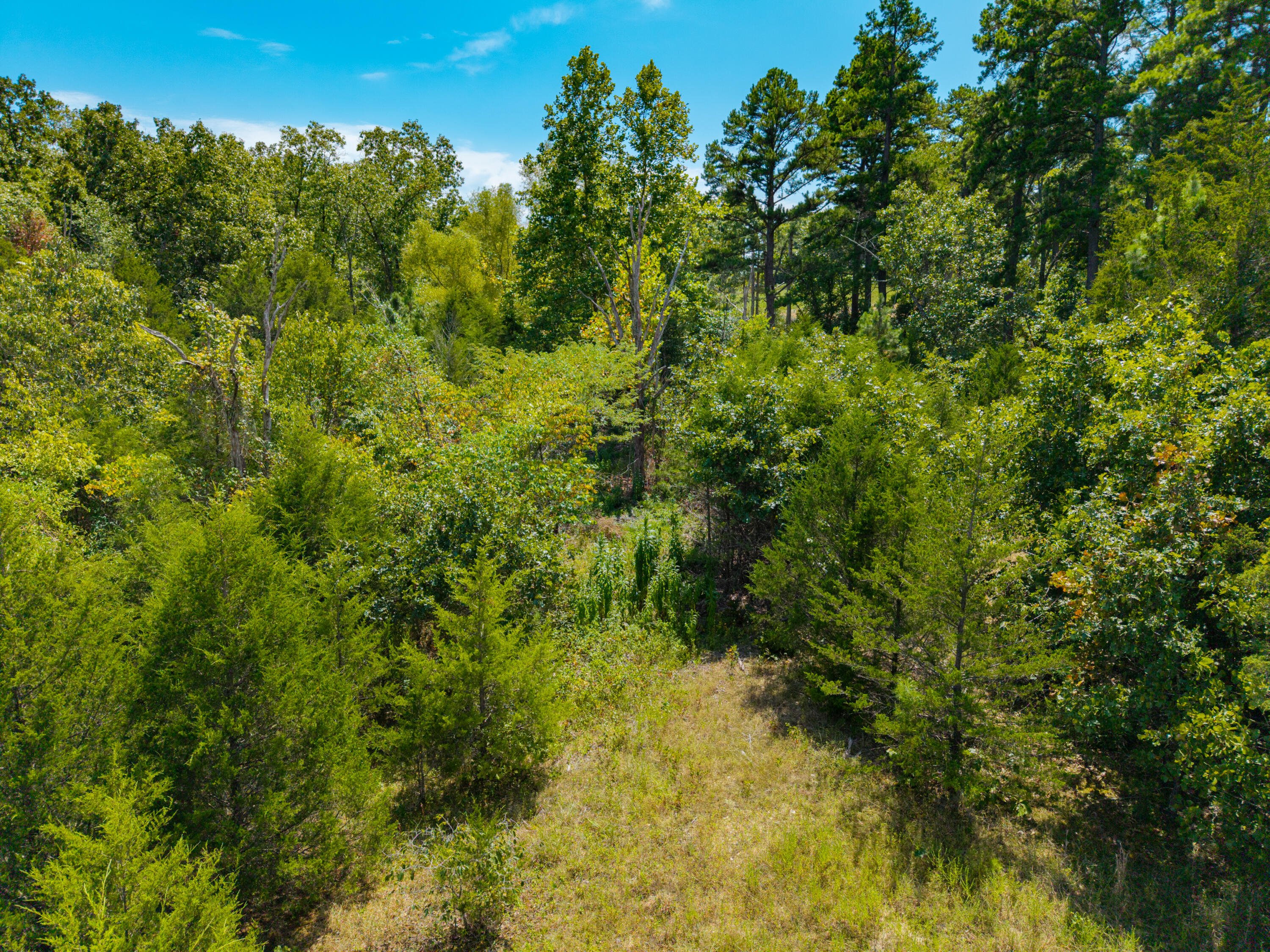 Lots 1&2 Malberg Road Property Photo 23