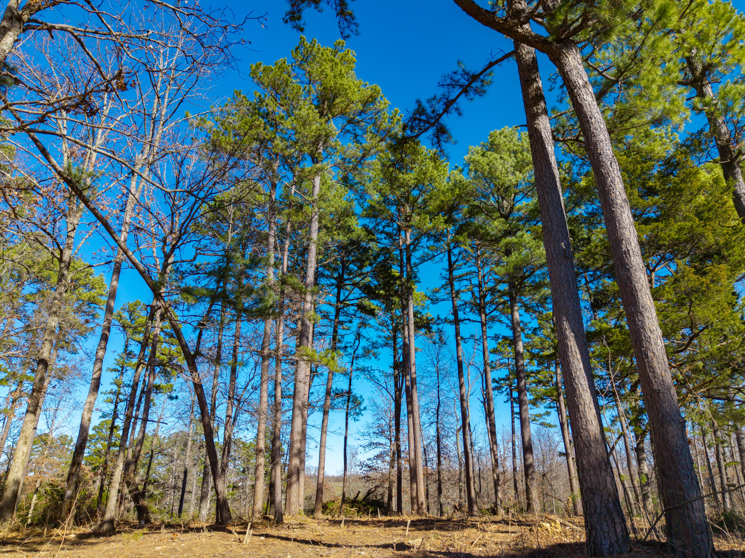 Lot 3&4 Malberg Road Property Photo 8