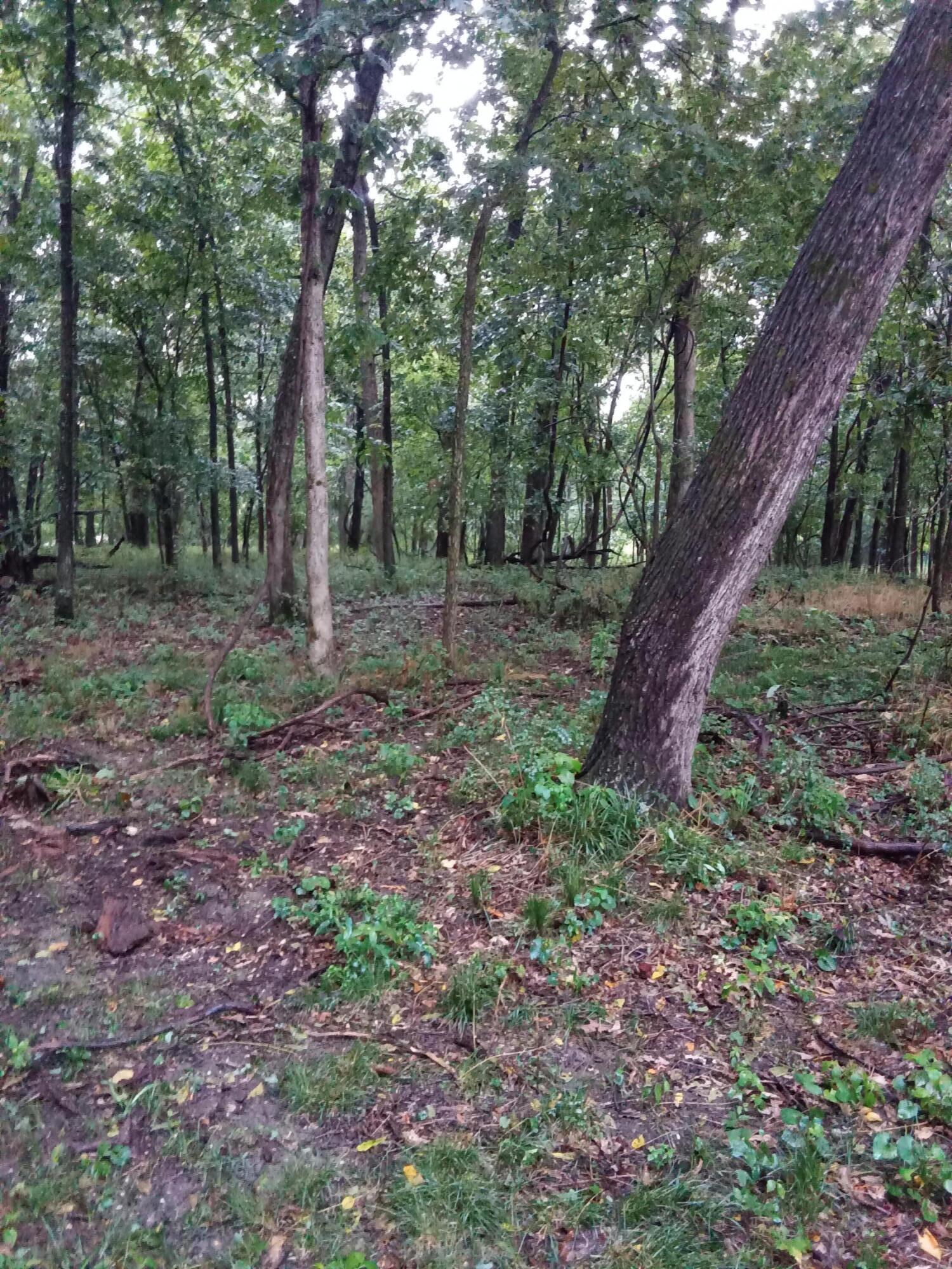000 Fraker Road Property Photo 11