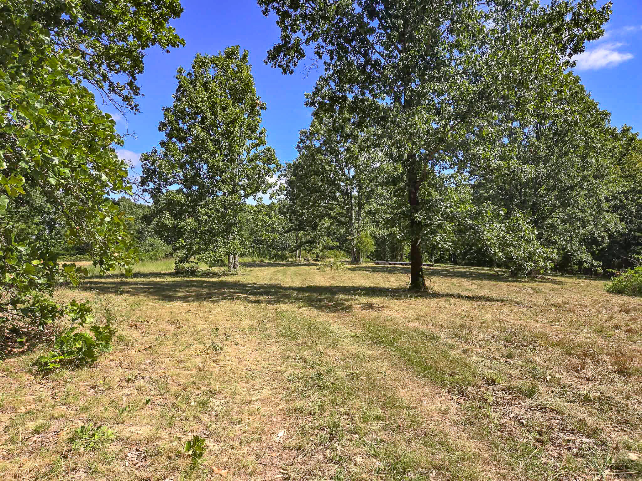000 Highway 181 Property Photo 3