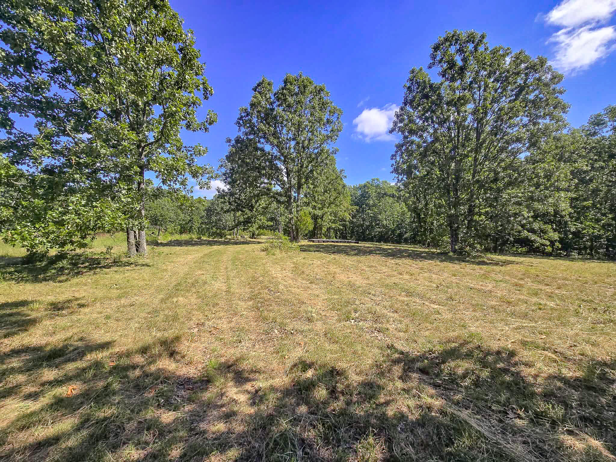 000 Highway 181 Property Photo 7