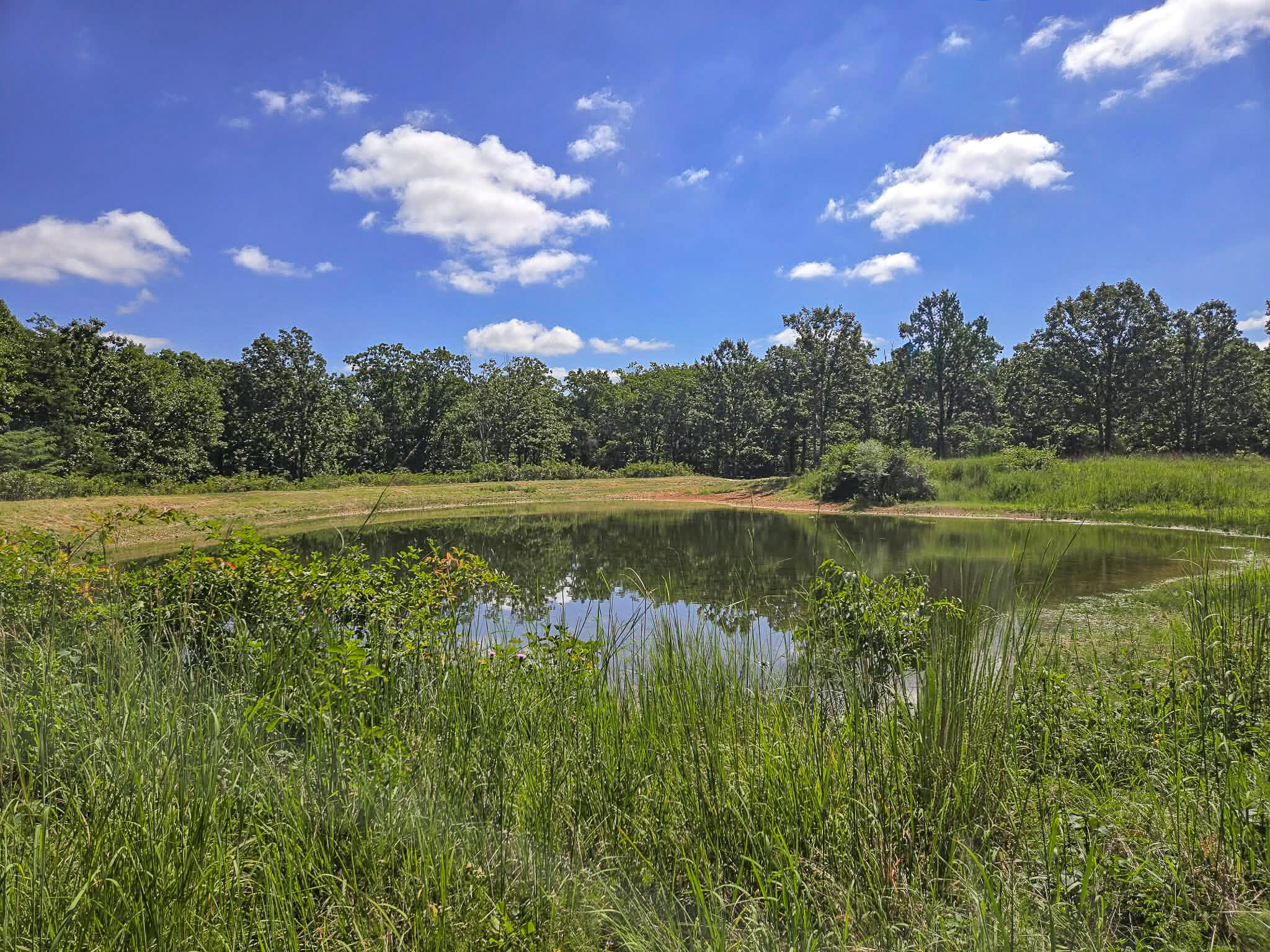 000 Highway 181 Property Photo 9