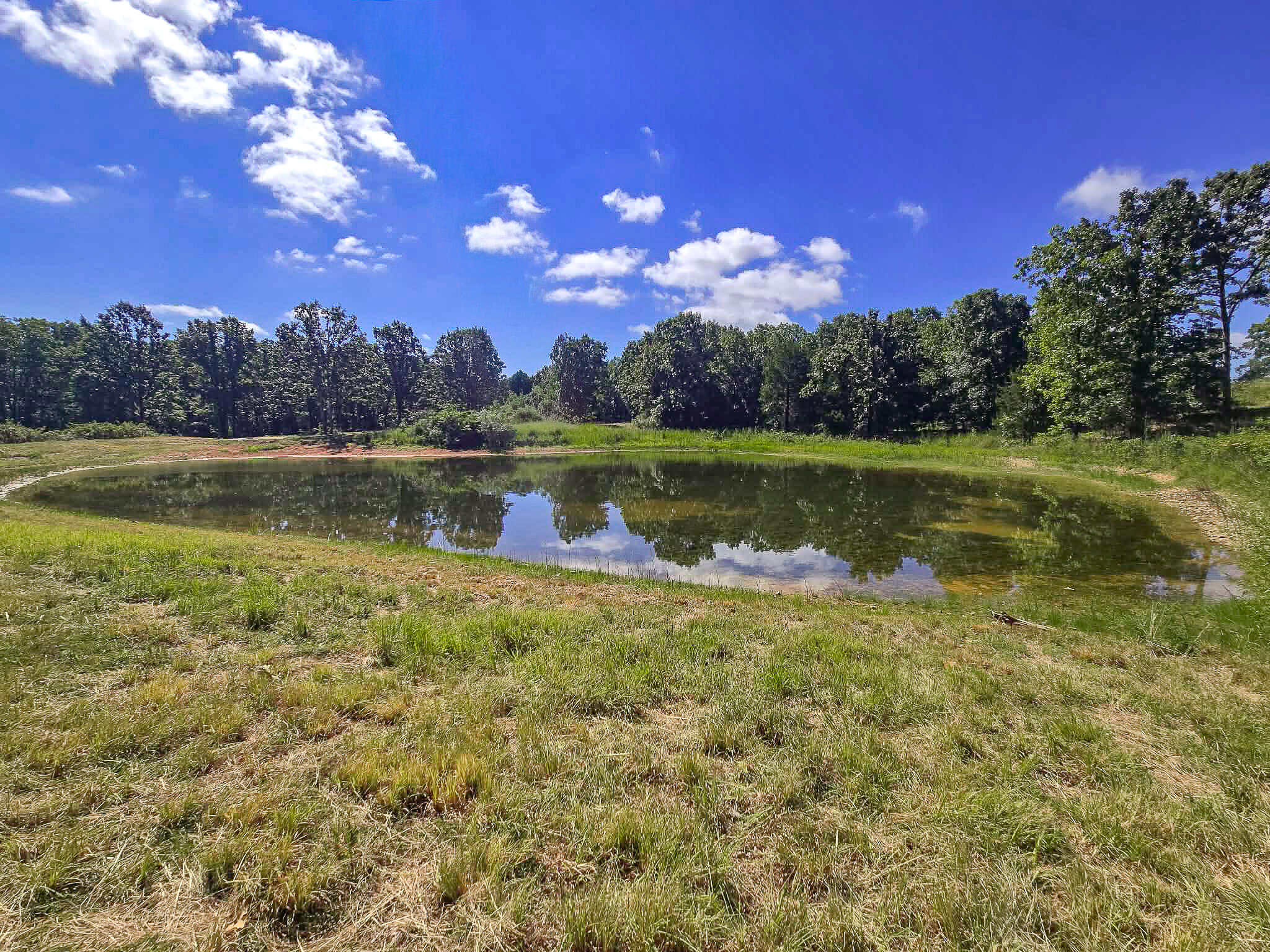 000 Highway 181 Property Photo 10