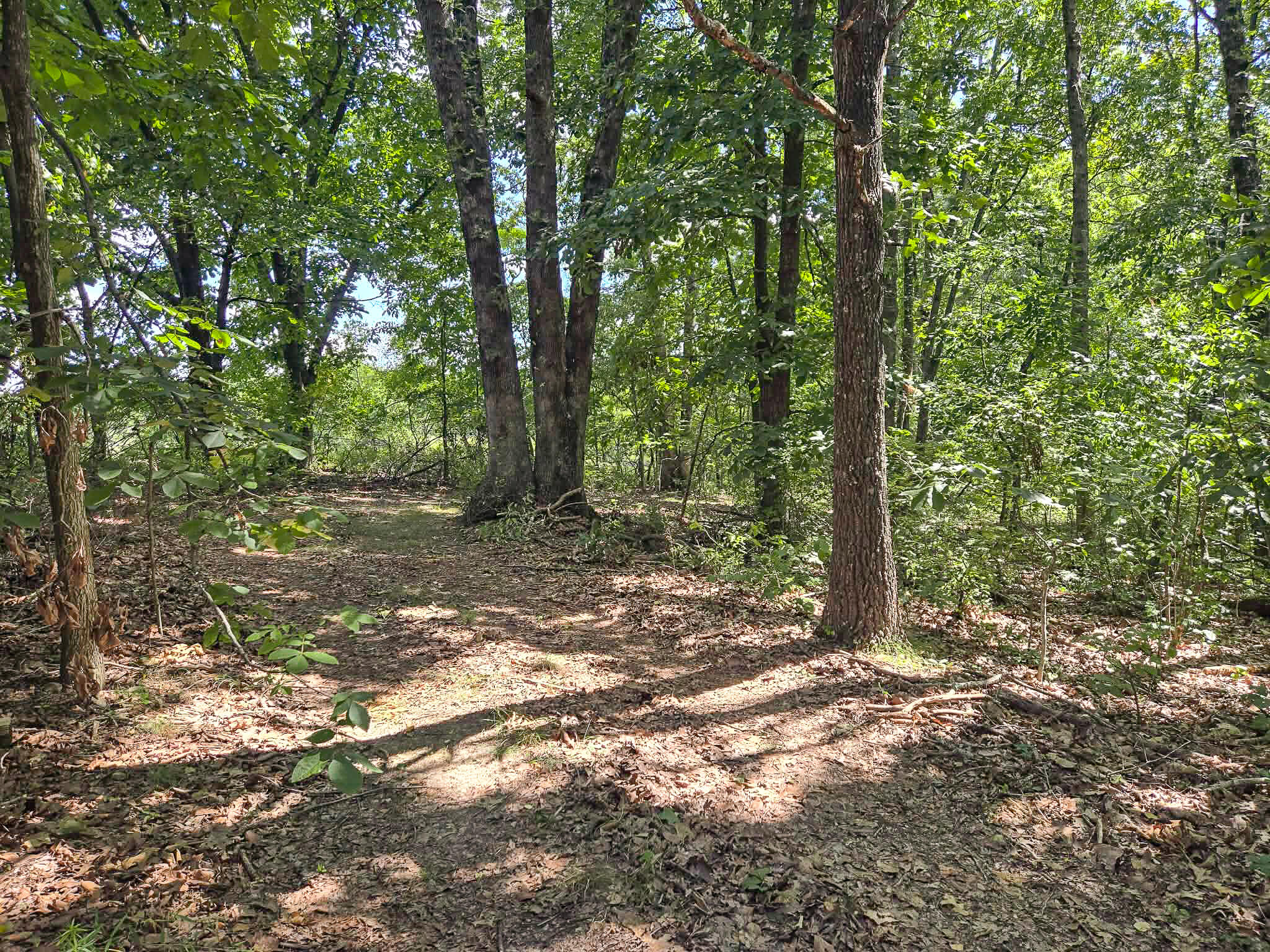 000 Highway 181 Property Photo 11