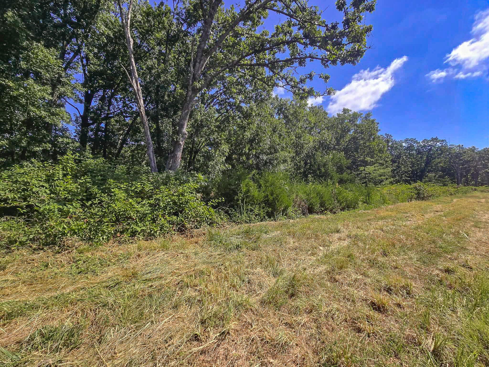 000 Highway 181 Property Photo 12