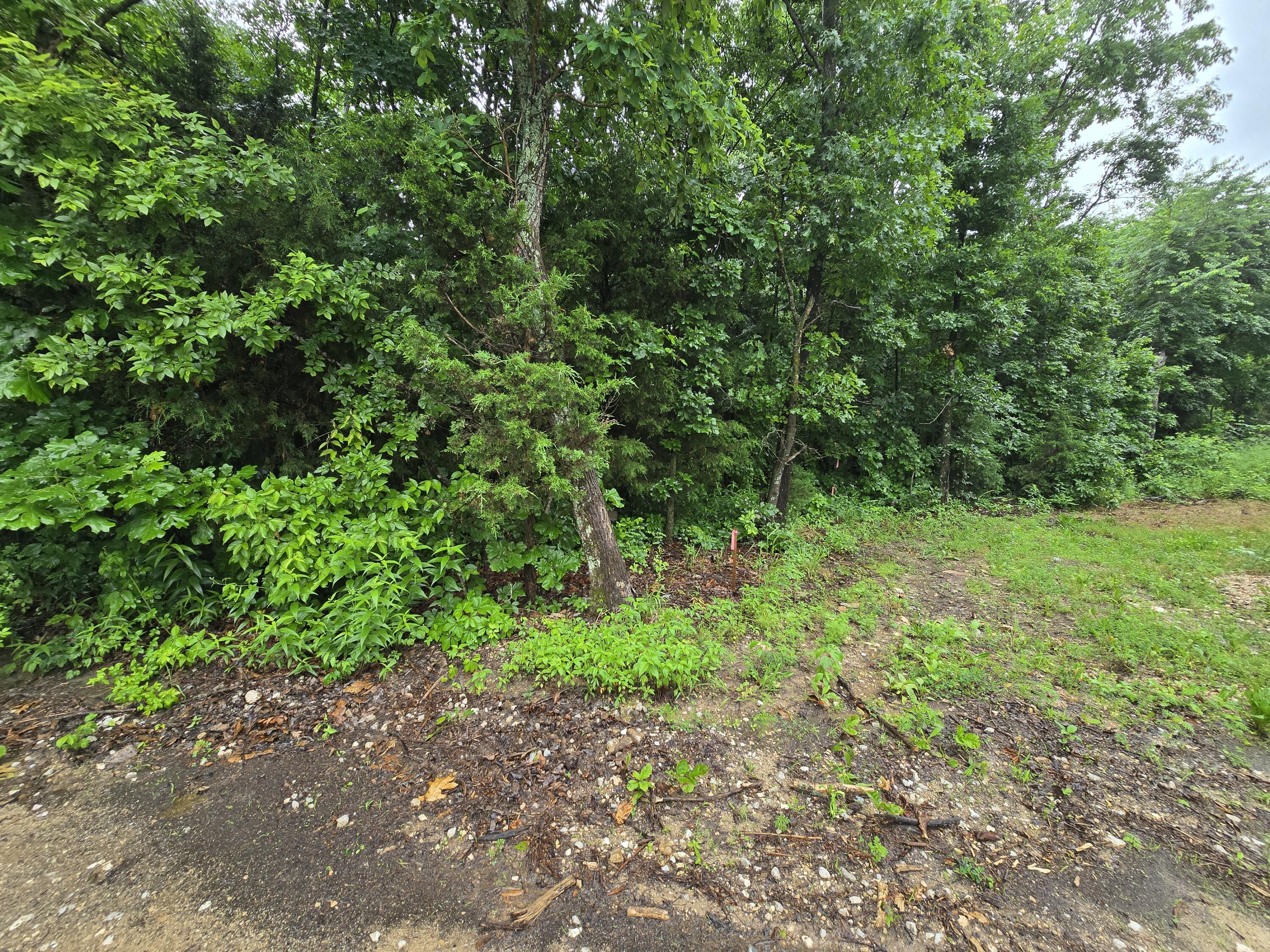 16882 Old Cricket Road West Property Photo 4