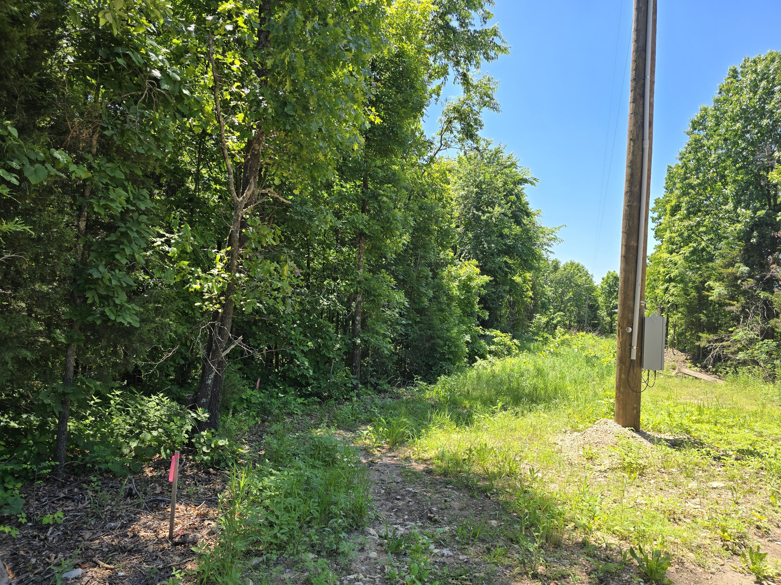 16882 Old Cricket Road West Property Photo 5