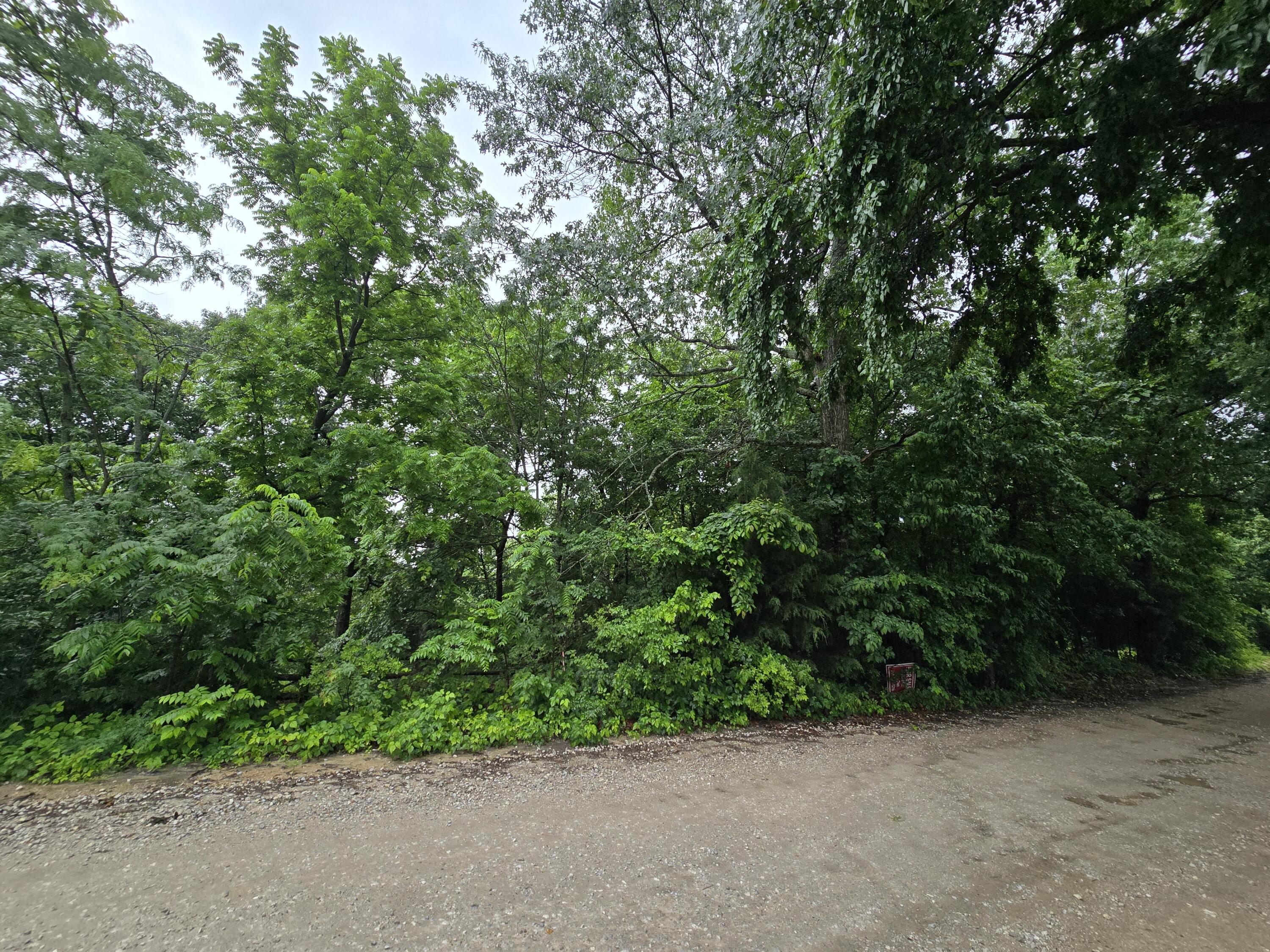 16882 Old Cricket Road West Property Photo 6