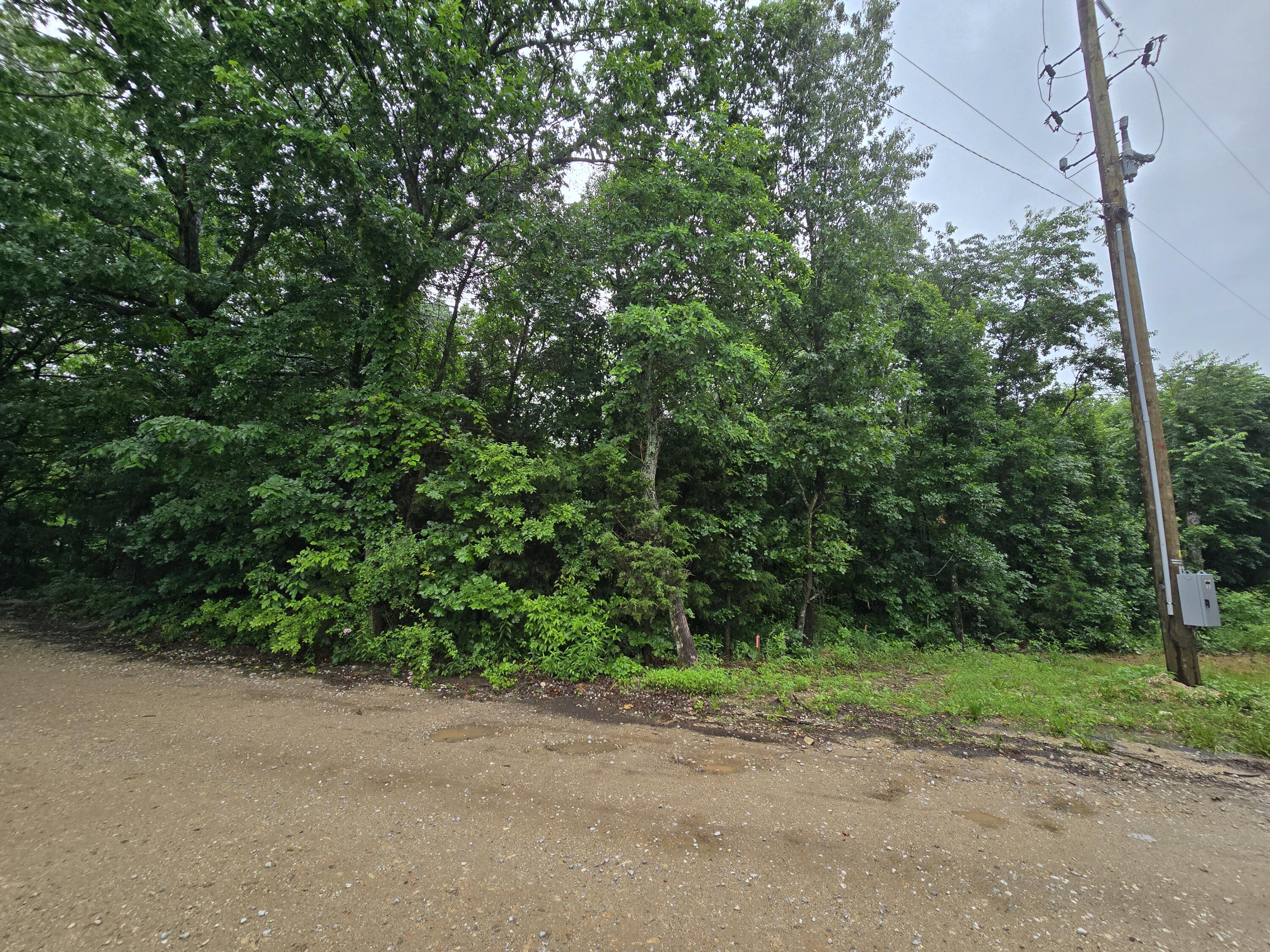 16882 Old Cricket Road West Property Photo 7