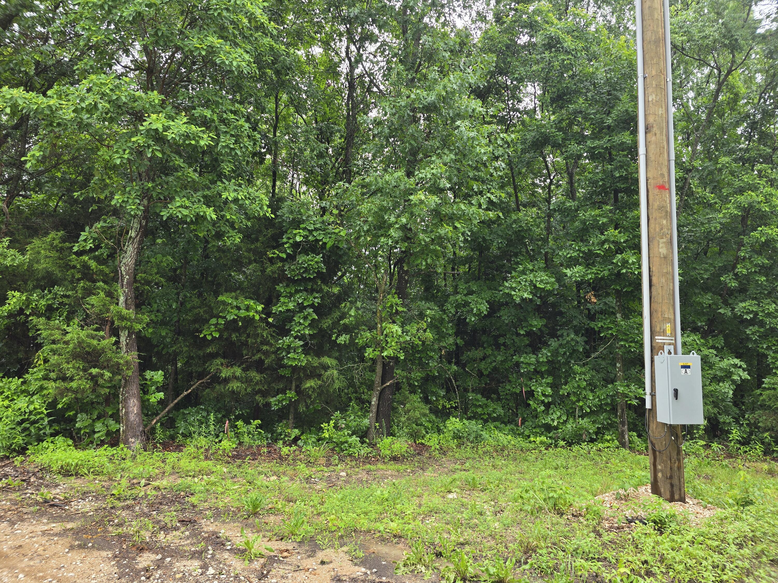 16882 Old Cricket Road West Property Photo 8