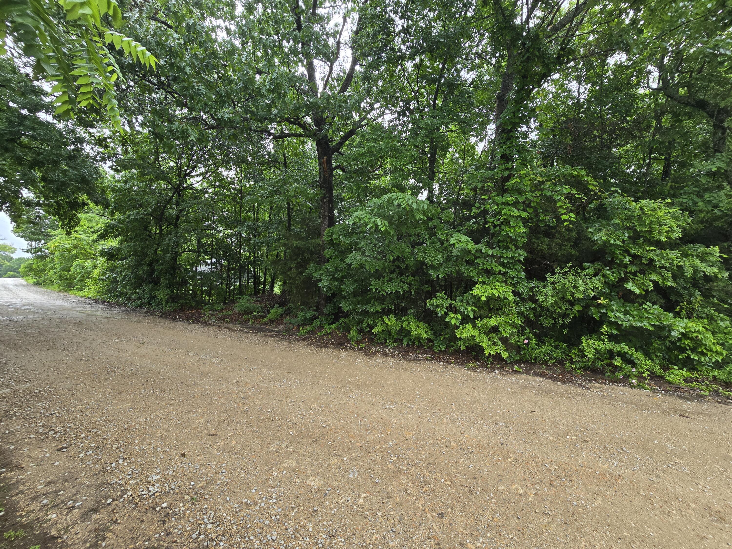 16882 Old Cricket Road West Property Photo 9