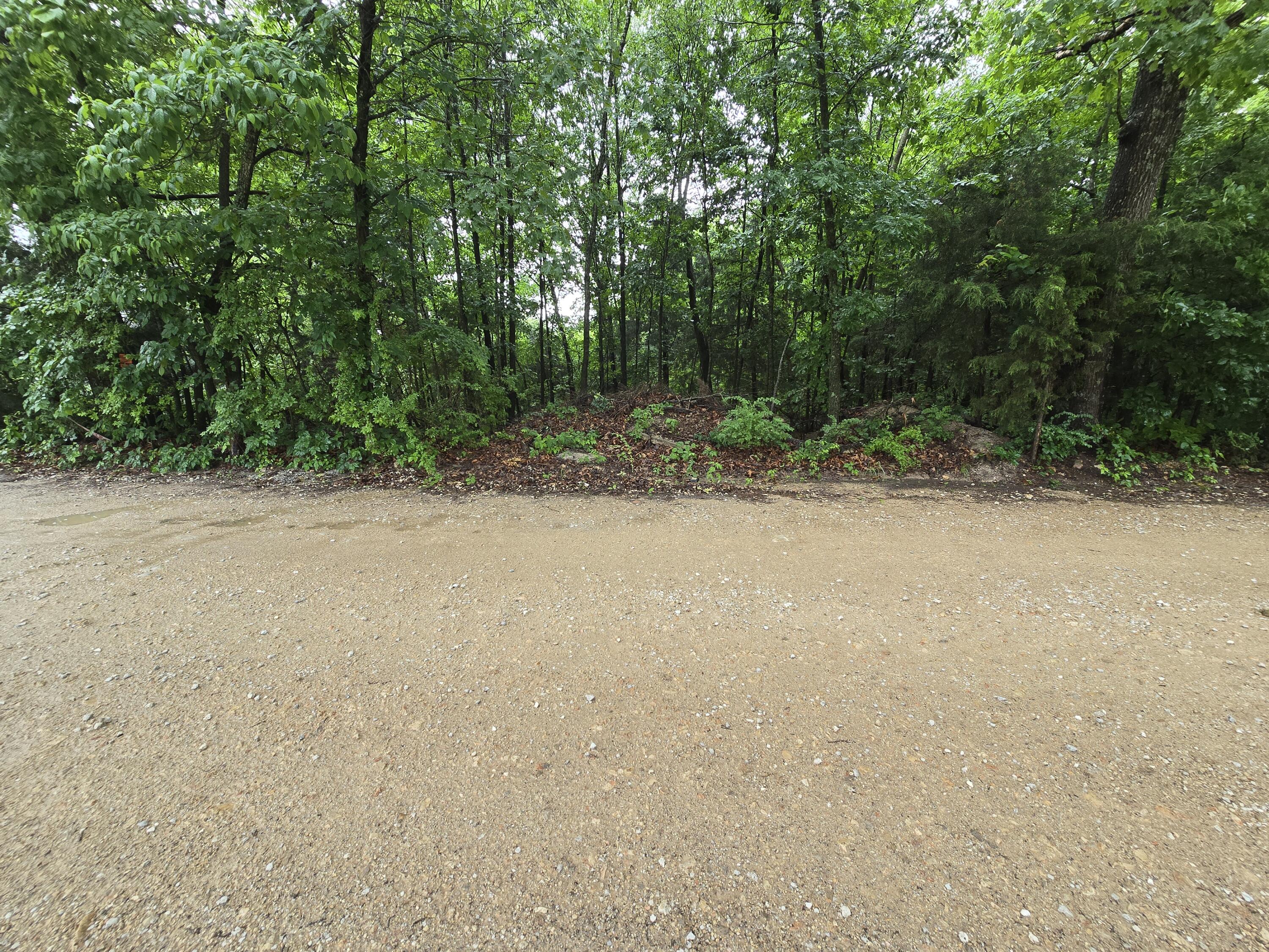 16882 Old Cricket Road West Property Photo 10