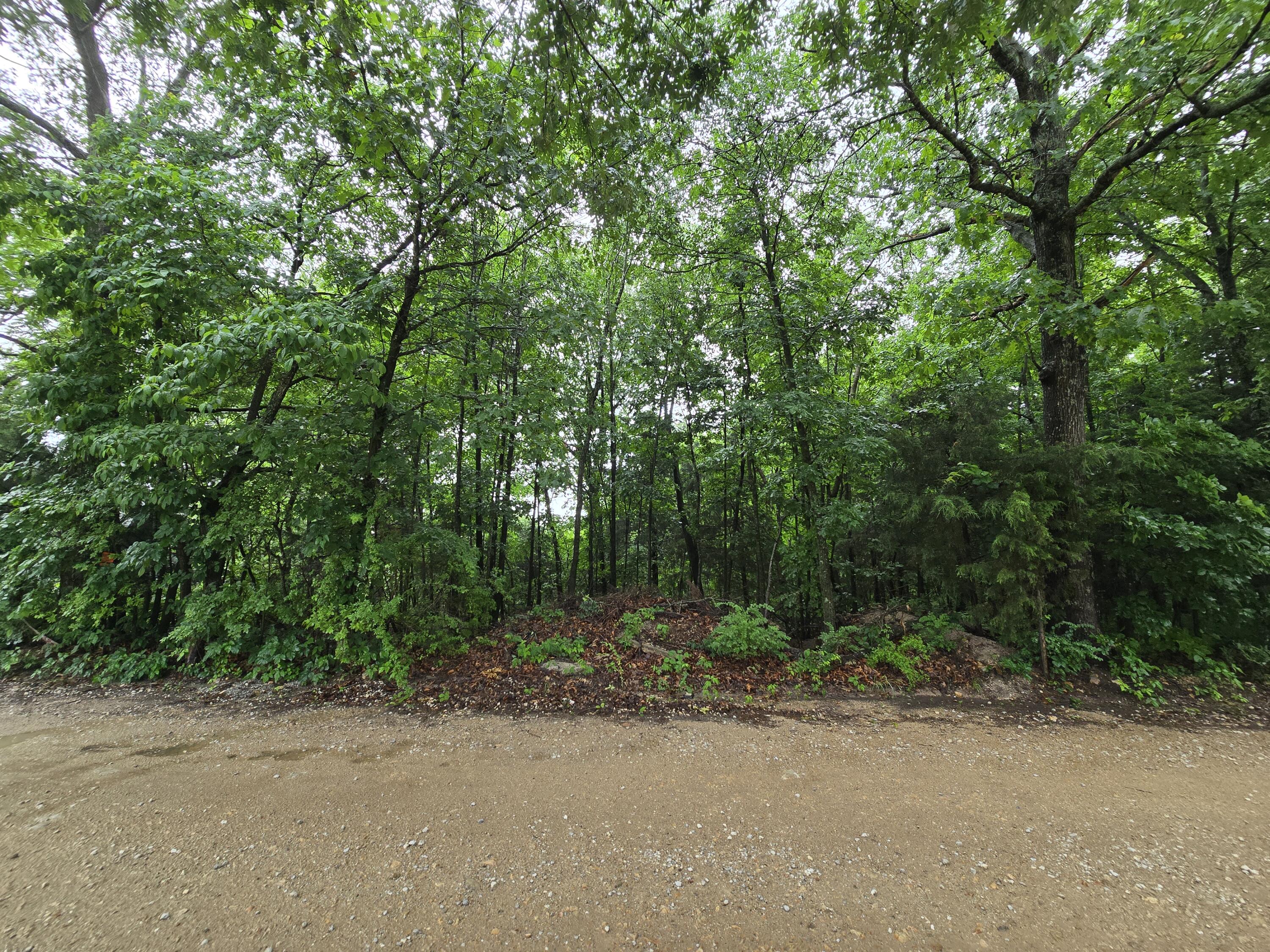 16882 Old Cricket Road West Property Photo 11