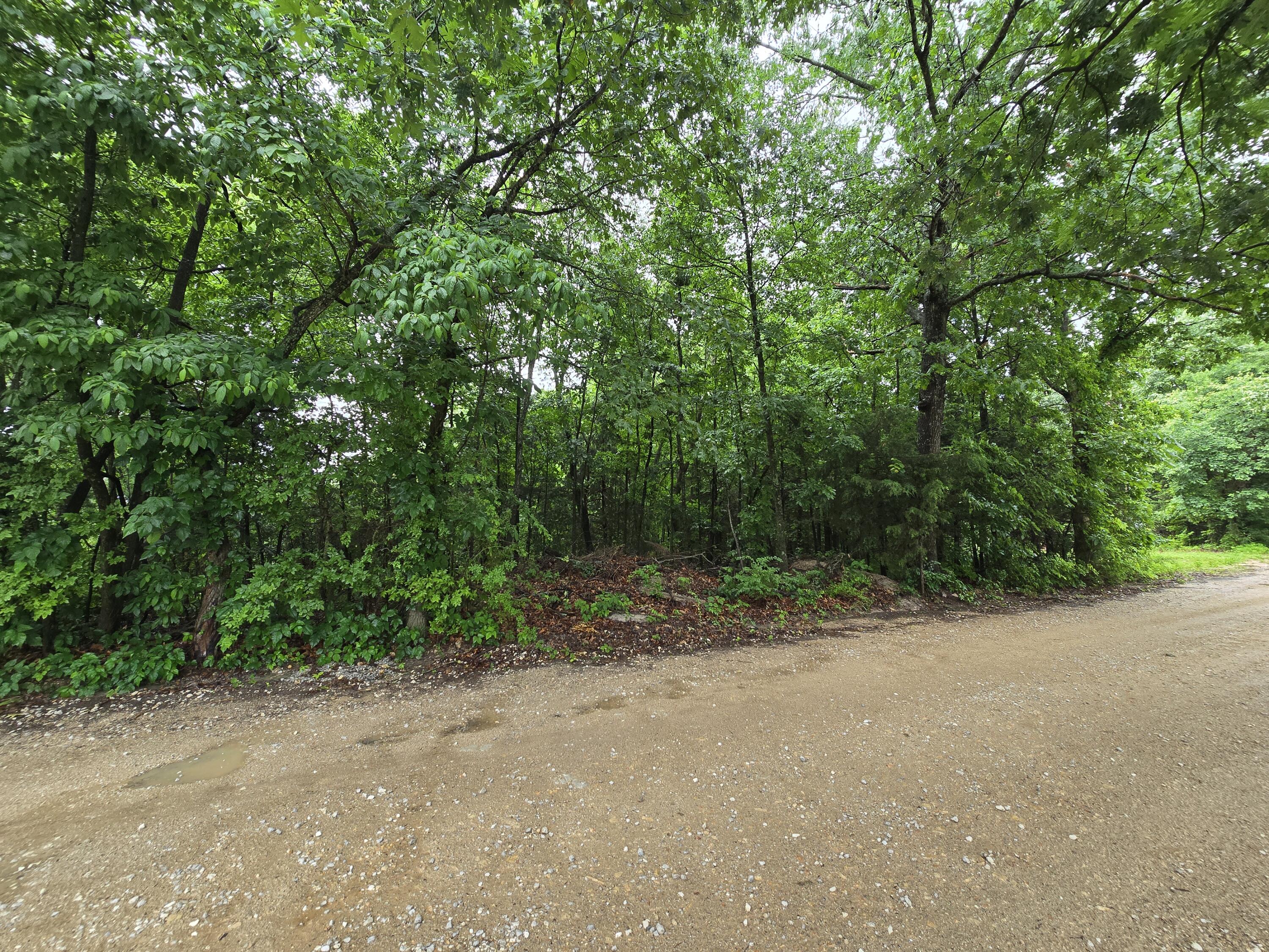 16882 Old Cricket Road West Property Photo 12
